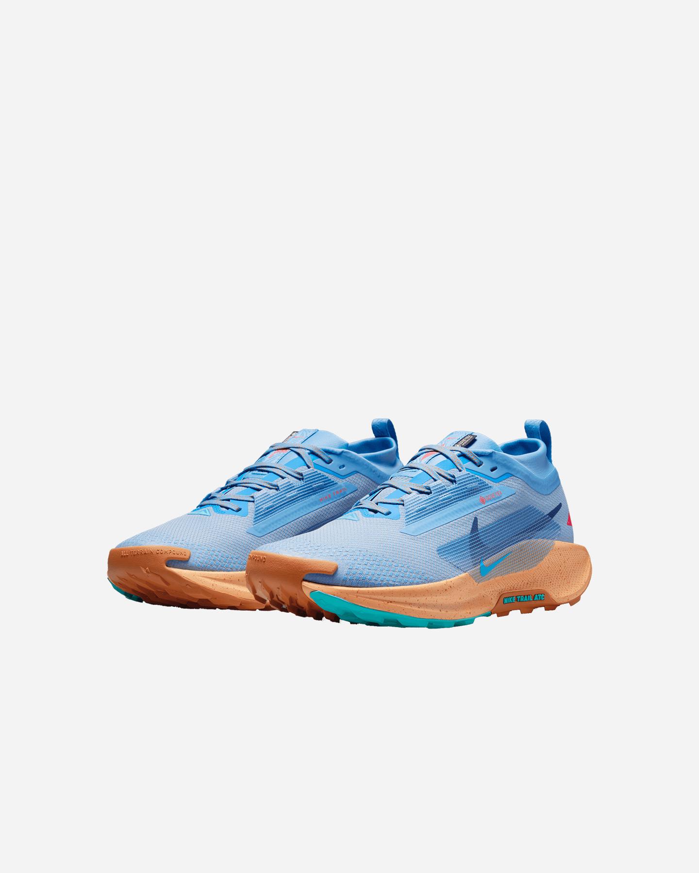 Scarpe trail NIKE PEGASUS TRAIL 5 GORE TEX M - Blu - 1 | Cisalfa Sport