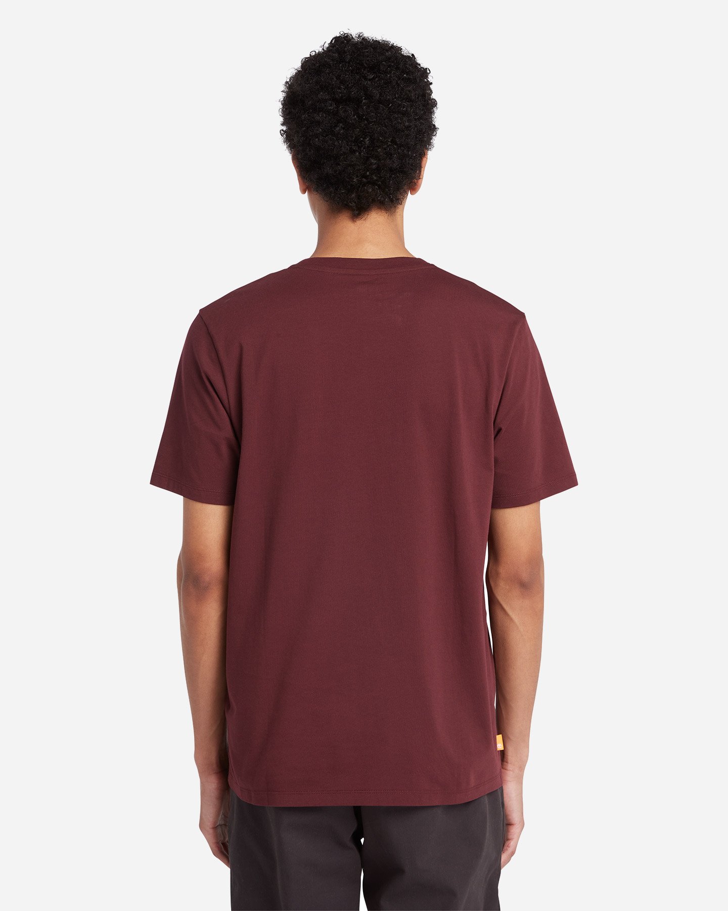 T-shirt TIMBERLAND KENNEBEC M - Rosso - 2 | Cisalfa Sport