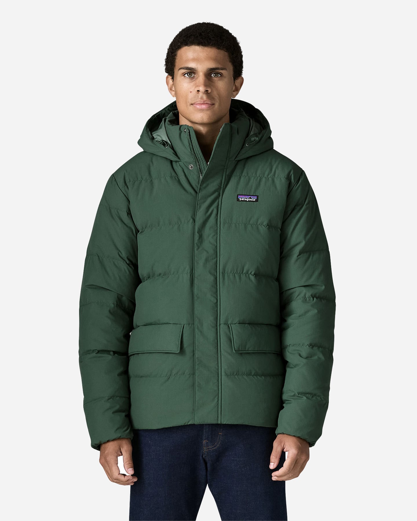 Piumino PATAGONIA SISAR DOWN M - Verde - 1 | Cisalfa Sport