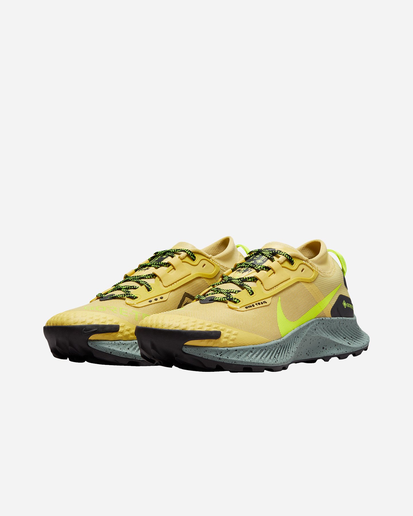 Scarpe trail NIKE PEGASUS TRAIL 3 GTX M - 1 | Cisalfa Sport