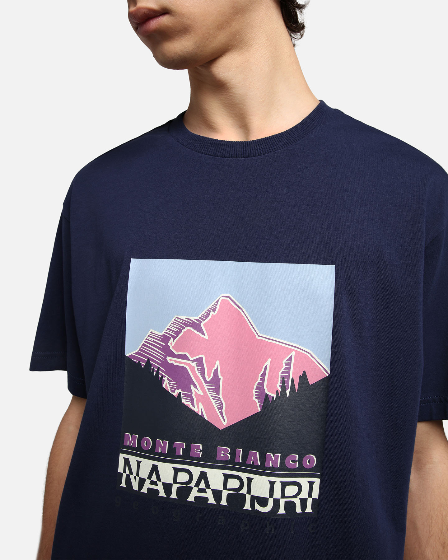 T-shirt NAPAPIJRI QUINTINO M - Blu - 5 | Cisalfa Sport