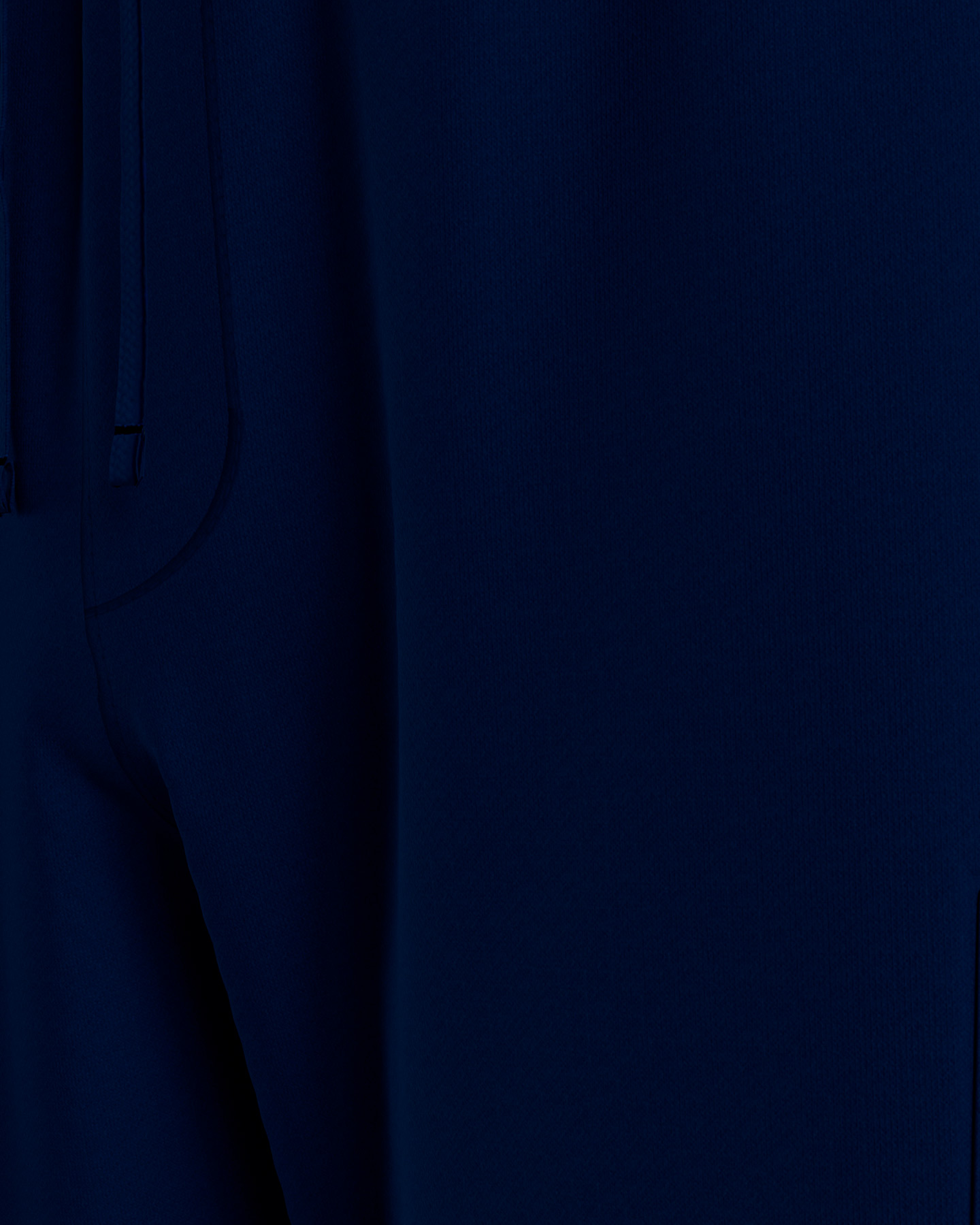 Bermuda TOMMY HILFIGER BIG LOGO M - 4 | Cisalfa Sport