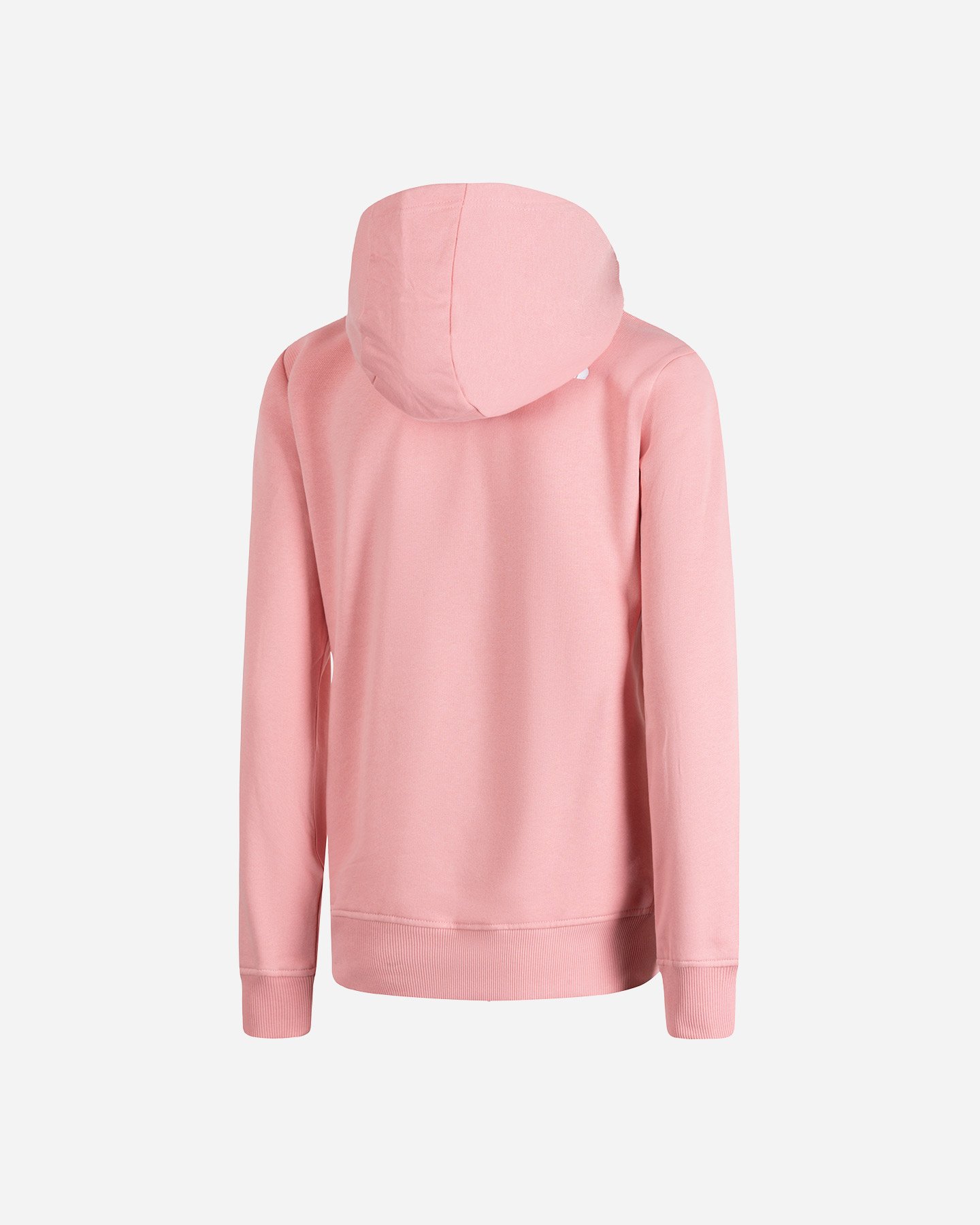 Felpa THE NORTH FACE TACUNE W - 4 | Cisalfa Sport