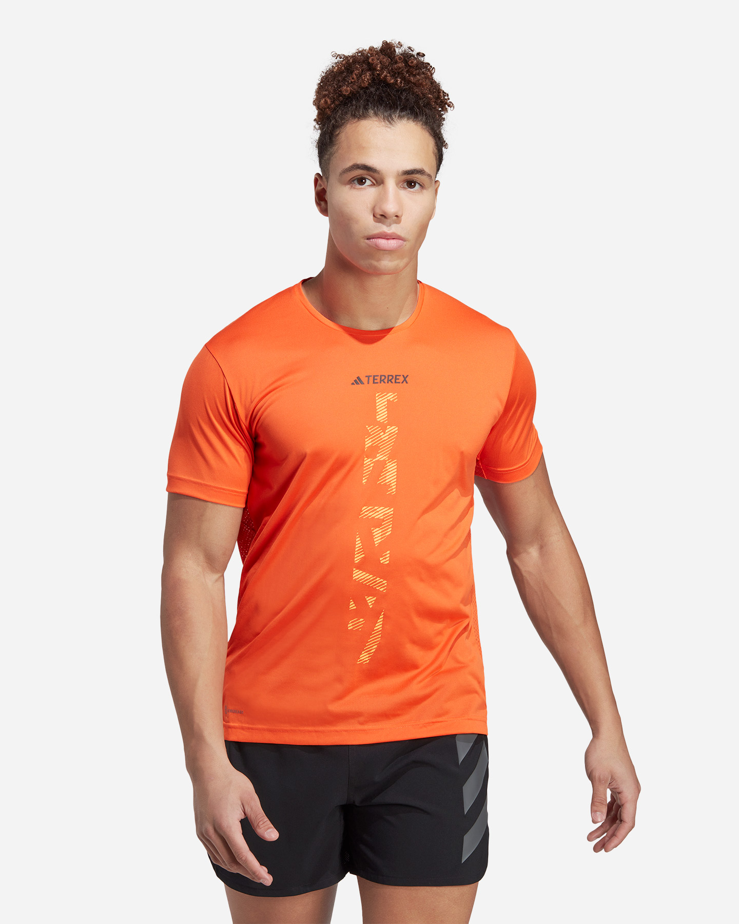 T-shirt running ADIDAS AGR TERREX M - 1 | Cisalfa Sport