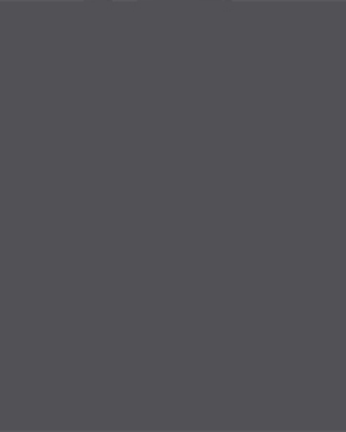 Pantalone outdoor COLUMBIA SILVER RIDGE M - Antracite - 3 | Cisalfa Sport