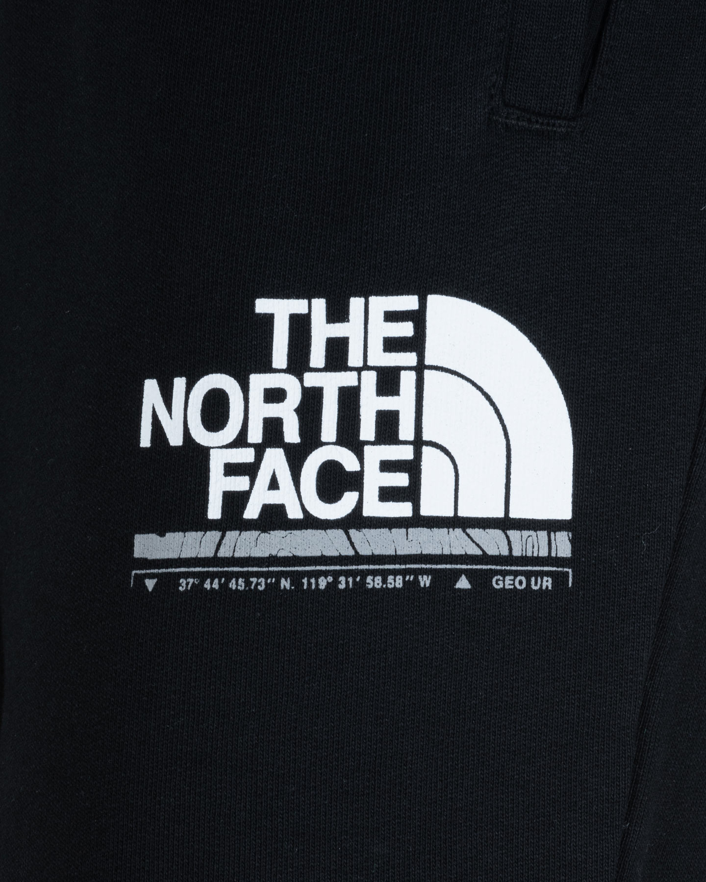 Pantalone THE NORTH FACE LOGO M - 5 | Cisalfa Sport