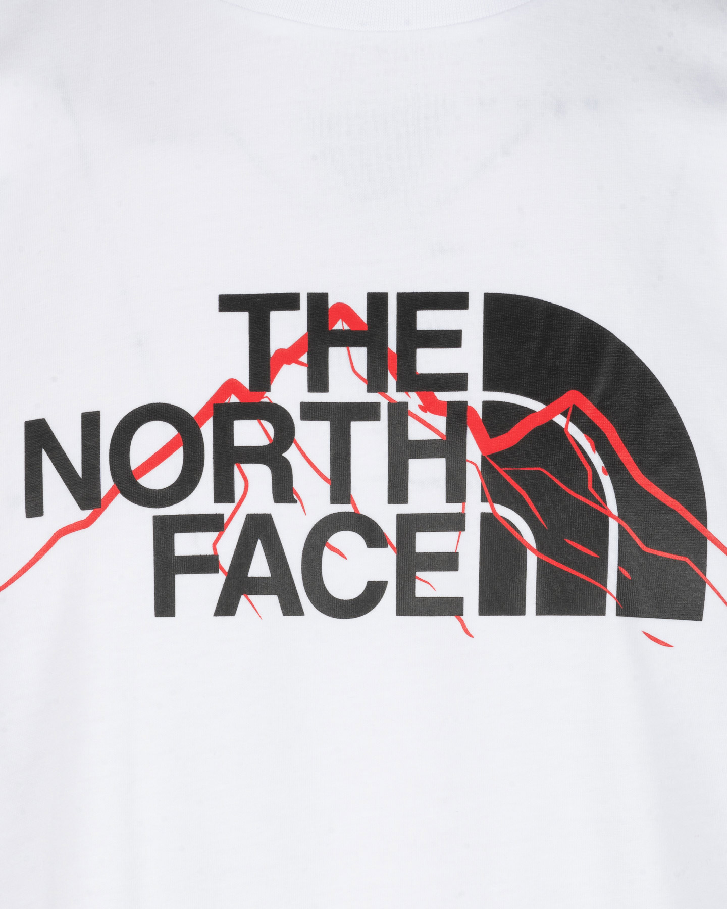 T-shirt THE NORTH FACE MOUNTAIN LINE M - Bianco - 2 | Cisalfa Sport