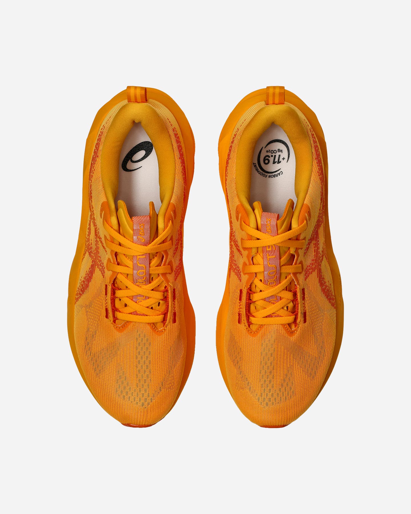 Scarpe running ASICS NOVABLAST 5 M - Color mix - 4 | Cisalfa Sport