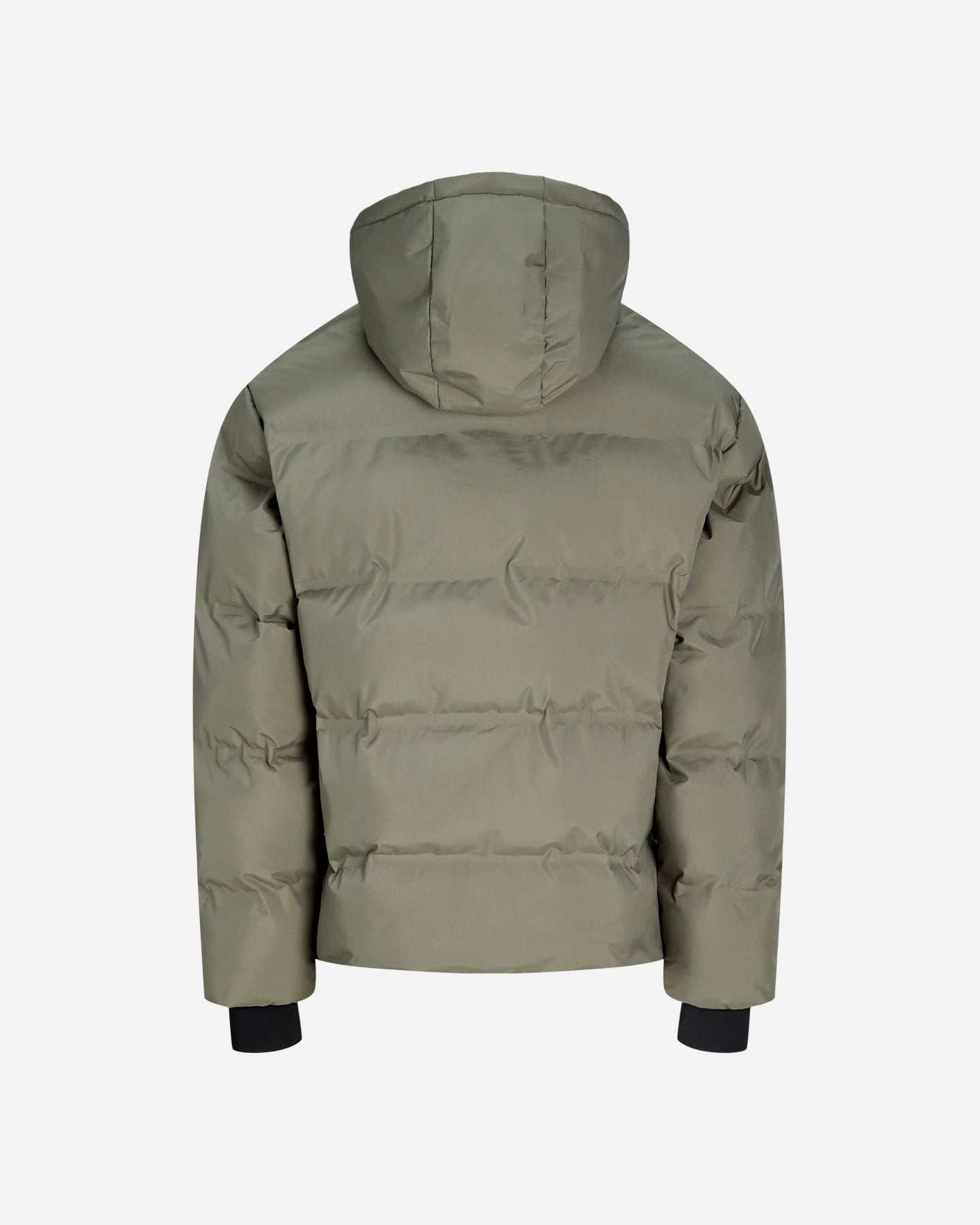 Giubbotto JACK & JONES TRACE M - 1 | Cisalfa Sport