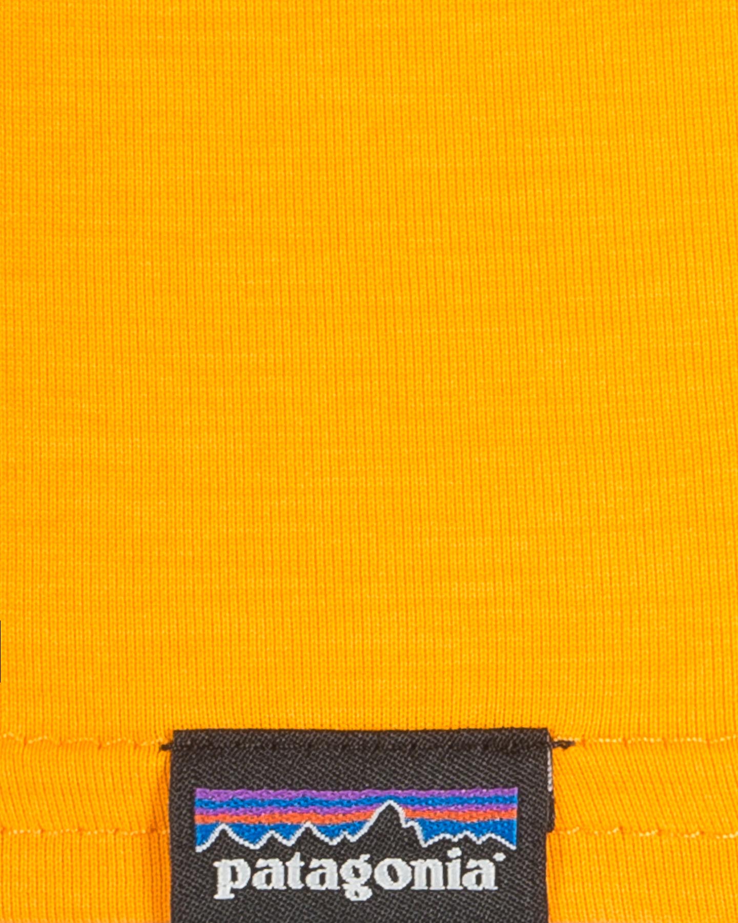 T-shirt PATAGONIA COOL DAILY M - 2 | Cisalfa Sport