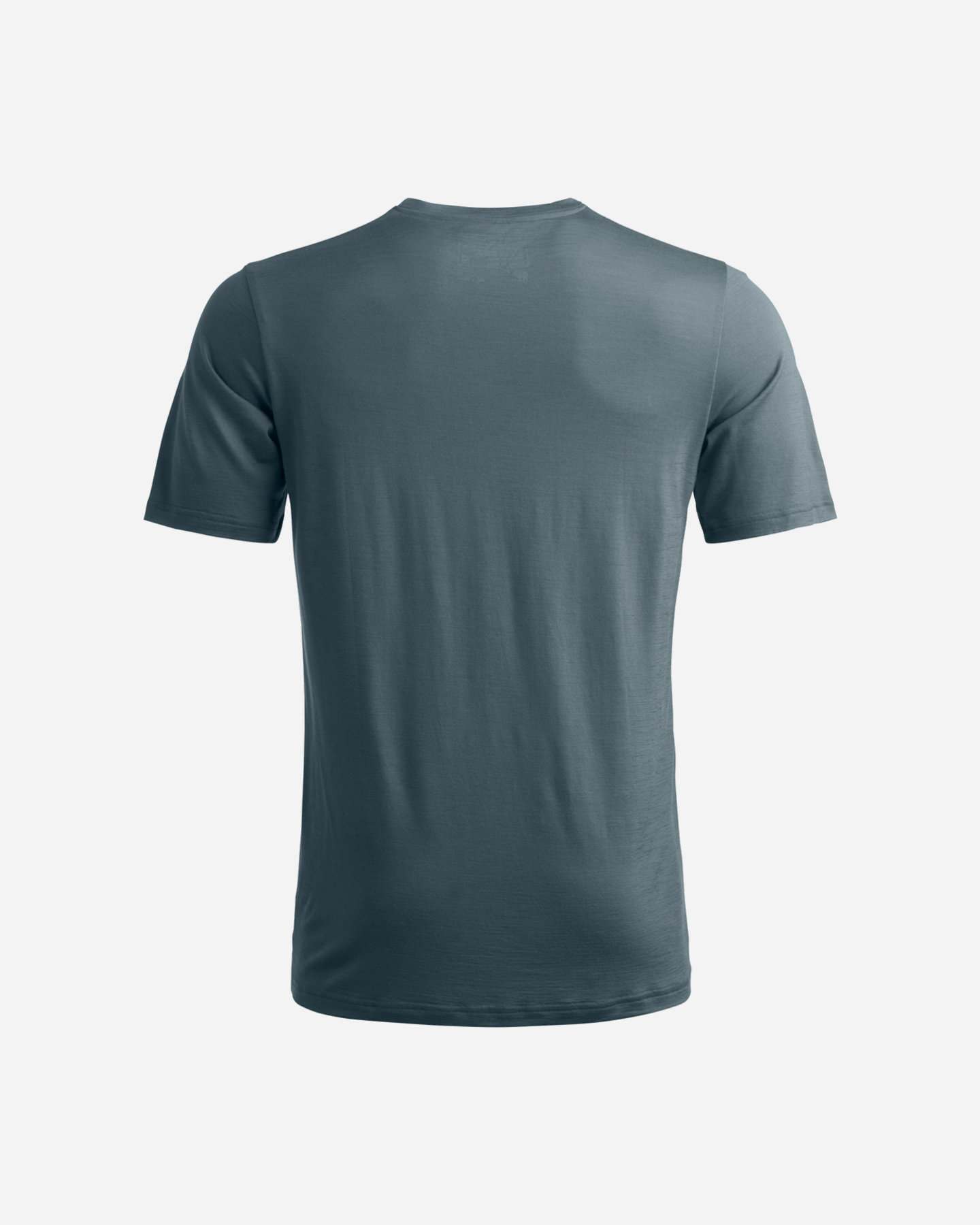 T-shirt ORTOVOX 140 COOL LANDSCAPE M - Grigio - 1 | Cisalfa Sport