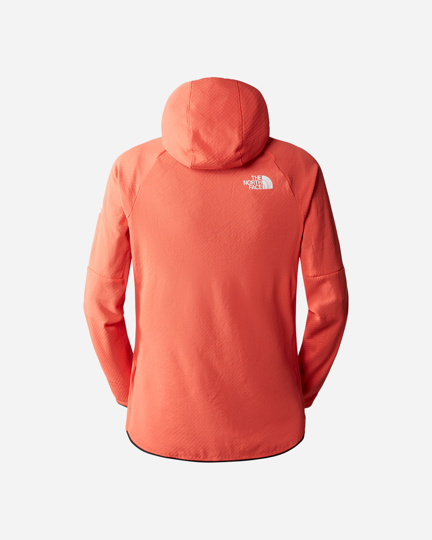 Pile THE NORTH FACE SUMMIT FUTUREFLEECE W - 3 | Cisalfa Sport
