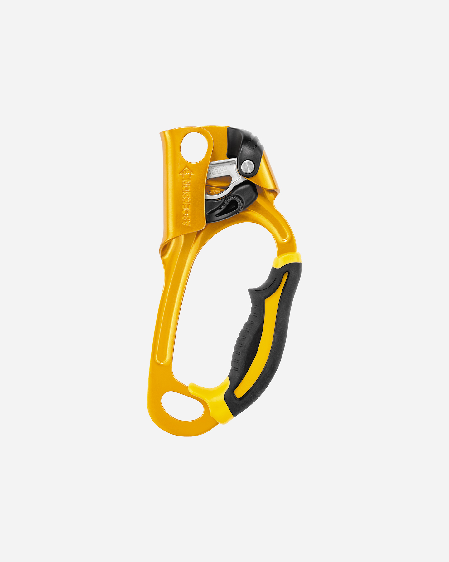 Discensore PETZL ASCENSION DX  - Arancione - 0 | Cisalfa Sport