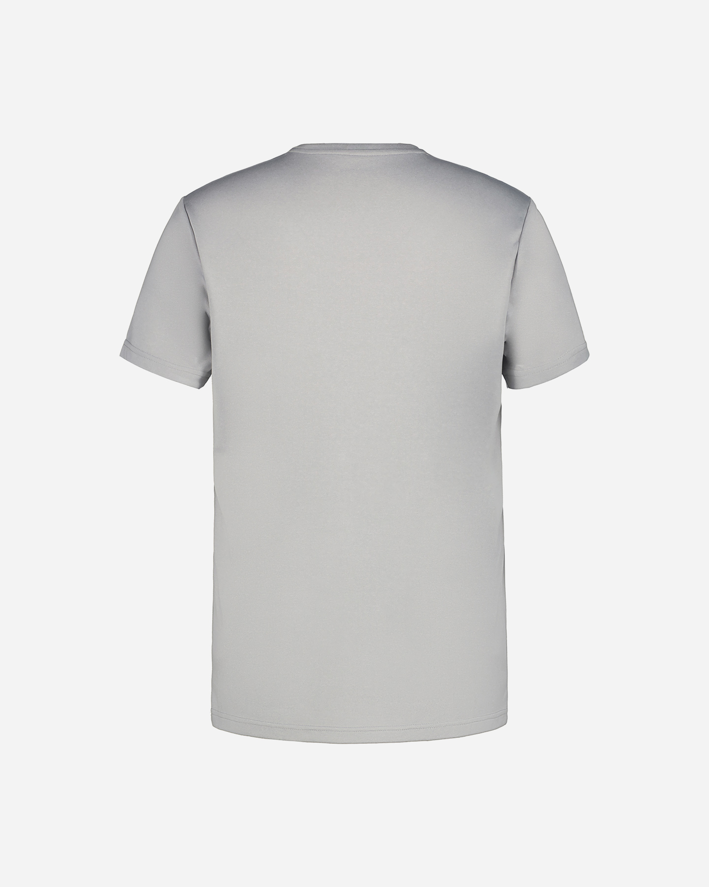 T-shirt ICEPEAK BEARDEN M - Grigio - 2 | Cisalfa Sport