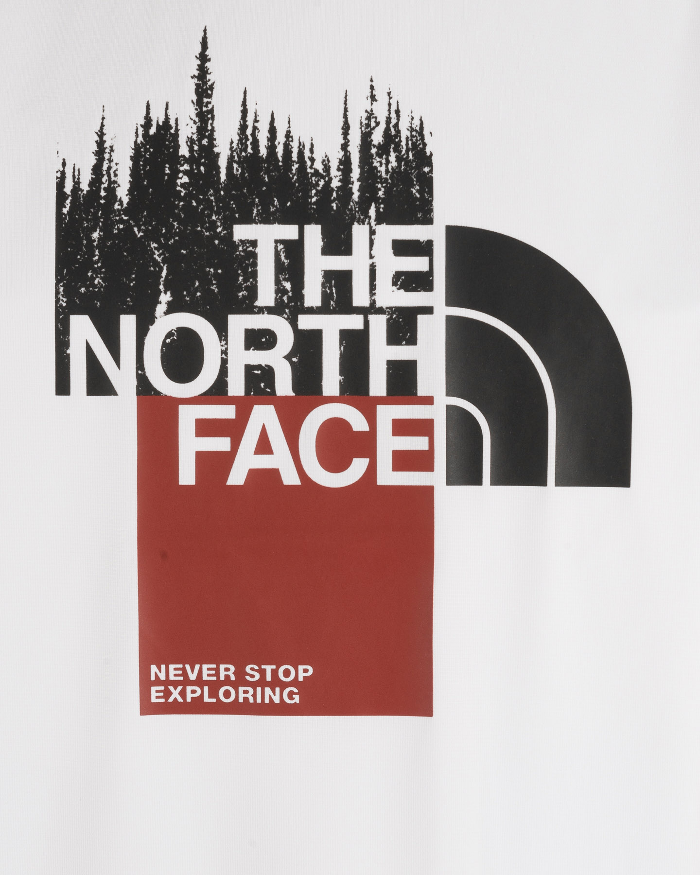 T-shirt THE NORTH FACE ODLES TECH M - 2 | Cisalfa Sport