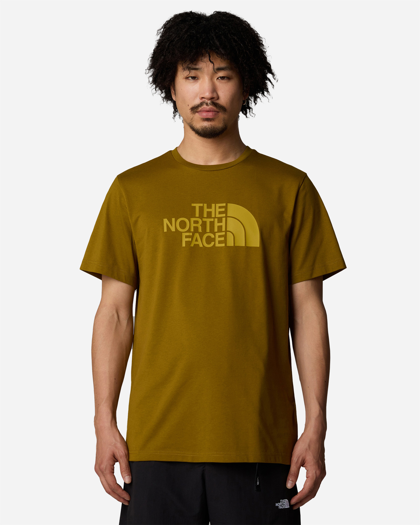 T-shirt THE NORTH FACE EASY TEE M - Verde - 2 | Cisalfa Sport