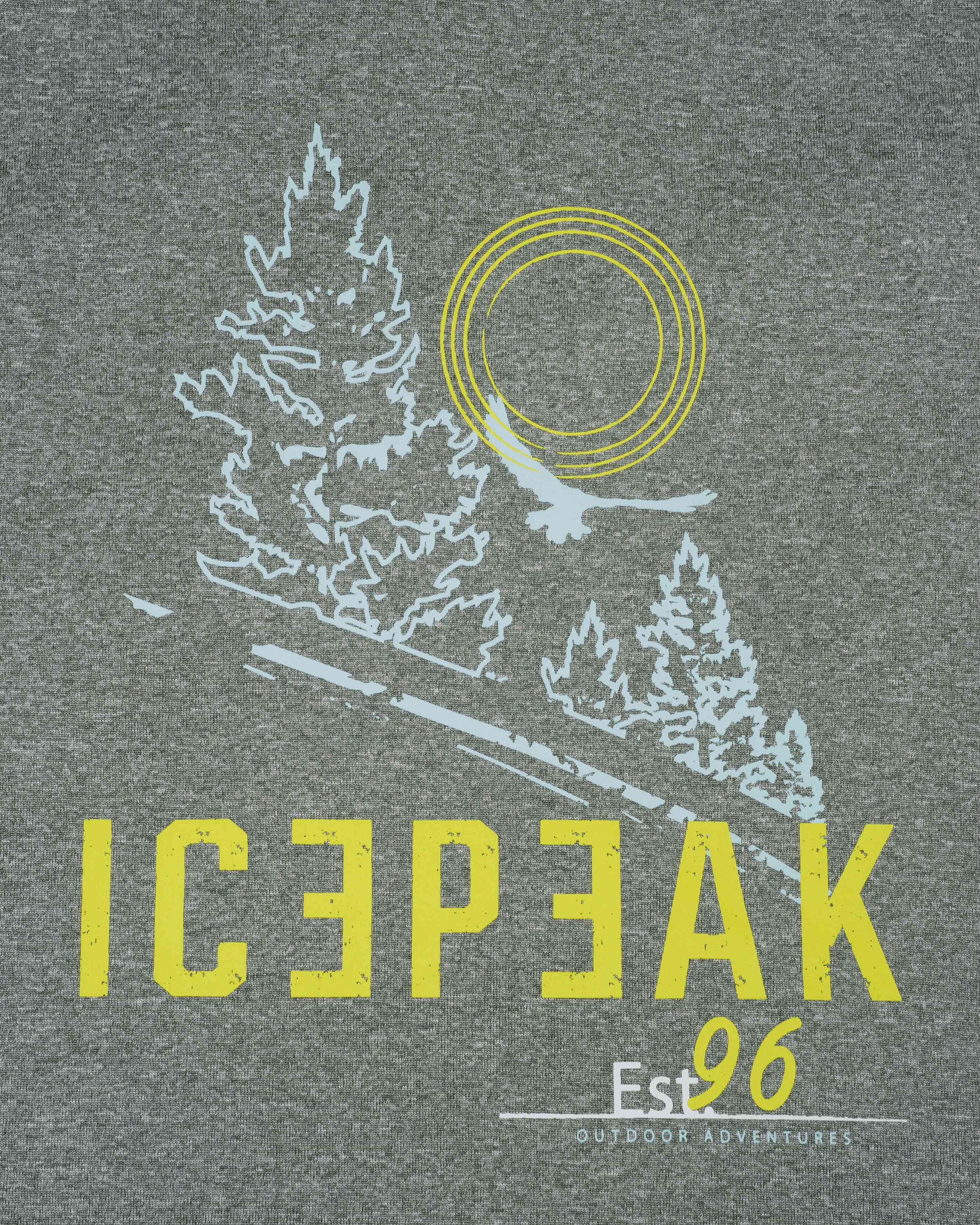 T-shirt ICEPEAK BEARDEN M - Verde - 4 | Cisalfa Sport