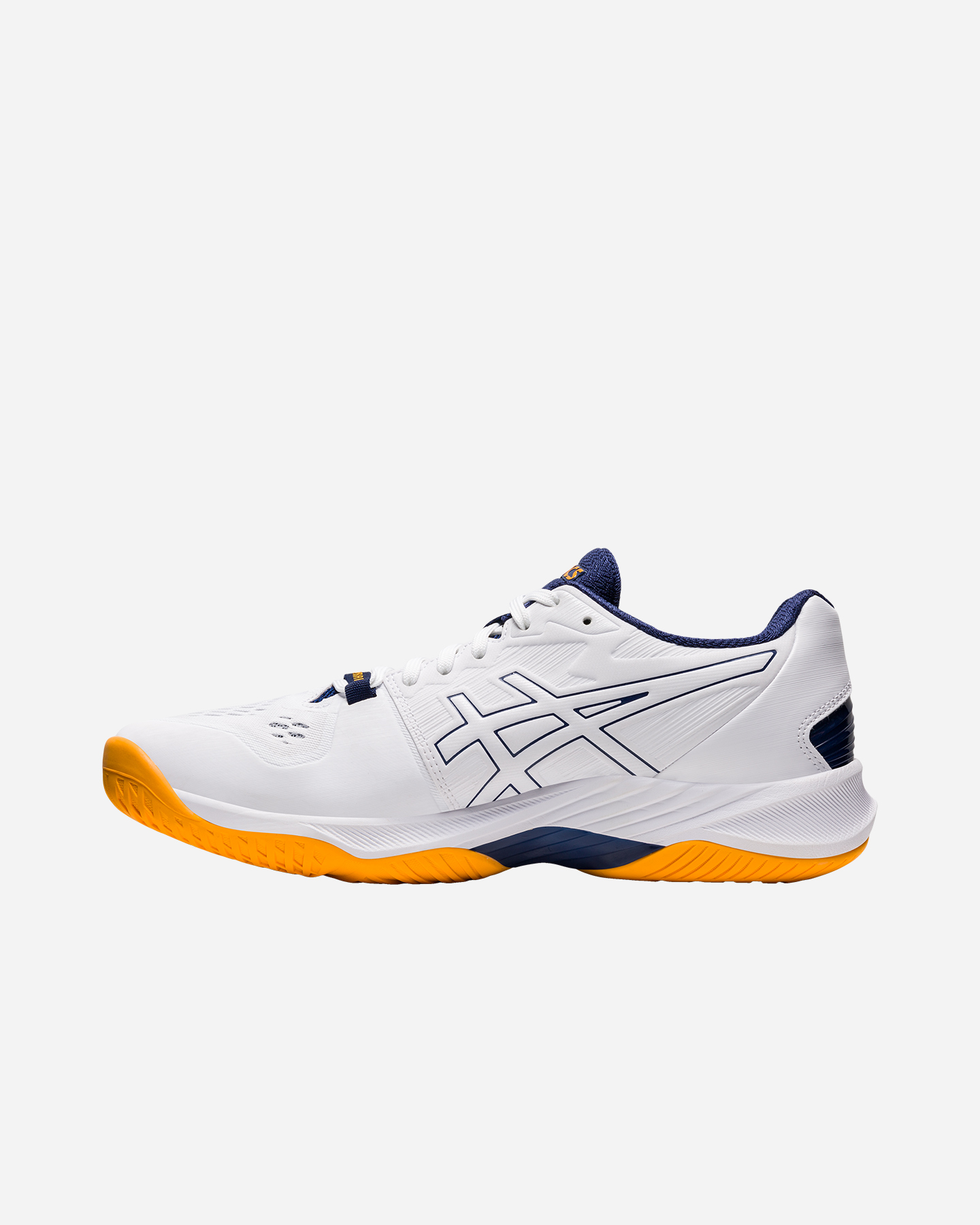 Scarpe volley ASICS SKY ELITE FF 2 M - 11 | Cisalfa Sport