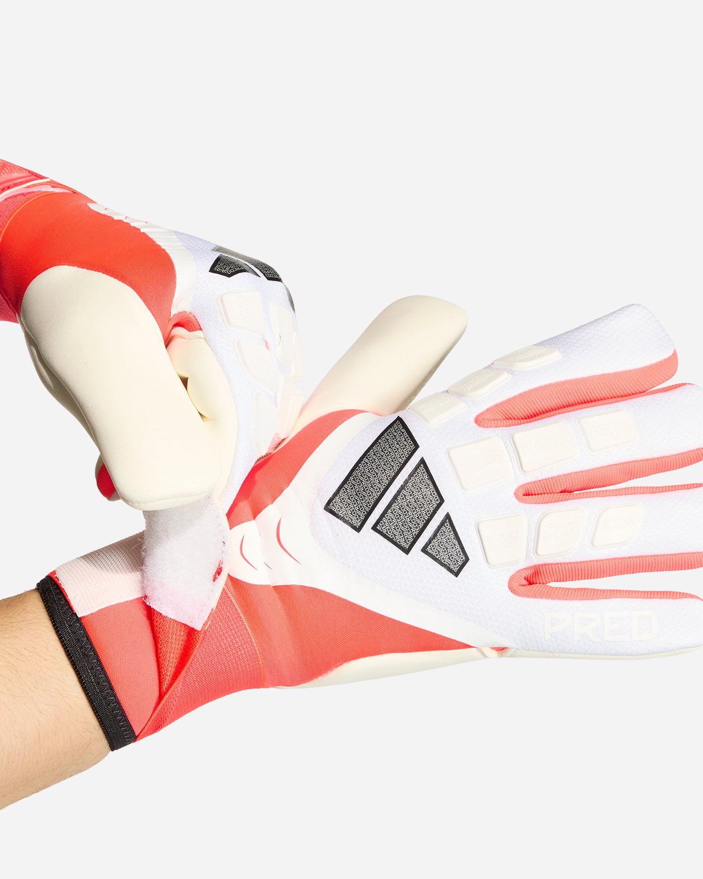 Guanti portiere ADIDAS PREDATOR GL COMPETITION M - Color mix - 2 | Cisalfa Sport
