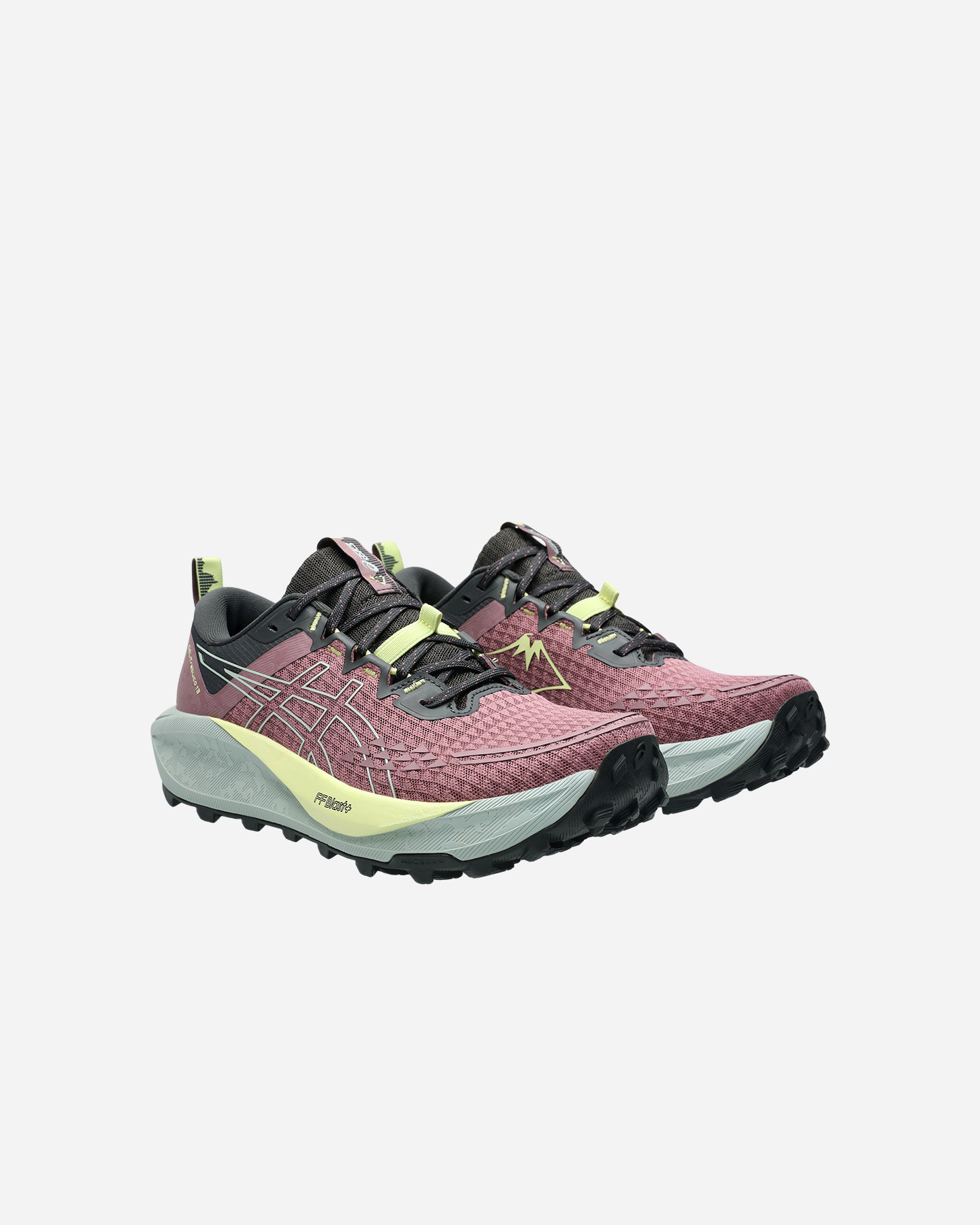 Scarpe trail ASICS GEL TRABUCO 13 W - Viola - 1 | Cisalfa Sport