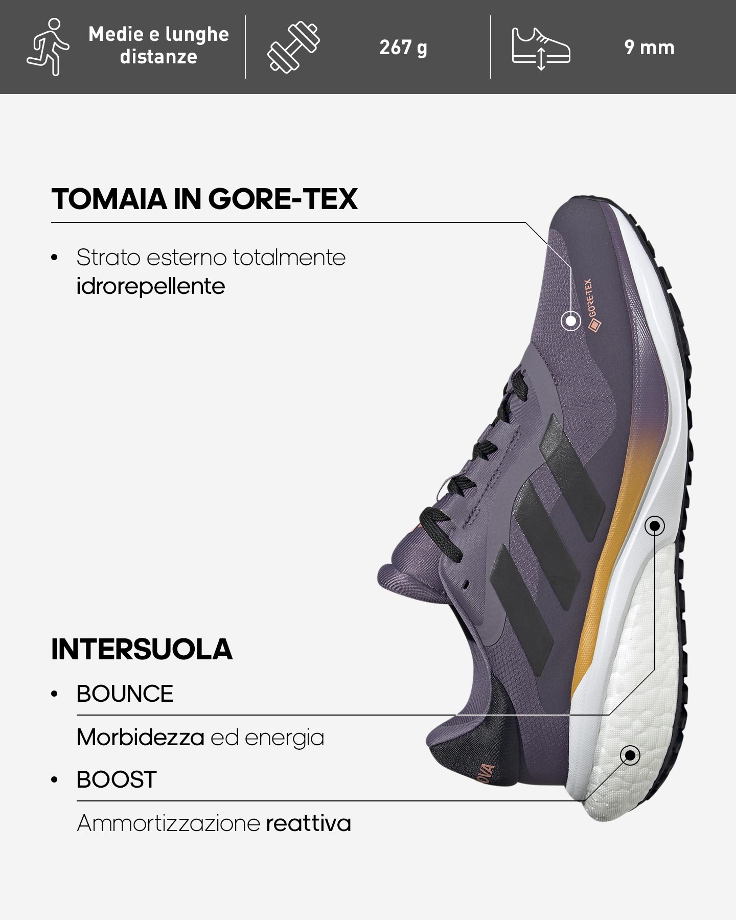 Scarpe running ADIDAS SUPERNOVA 3 GTX W - Viola - 1 | Cisalfa Sport