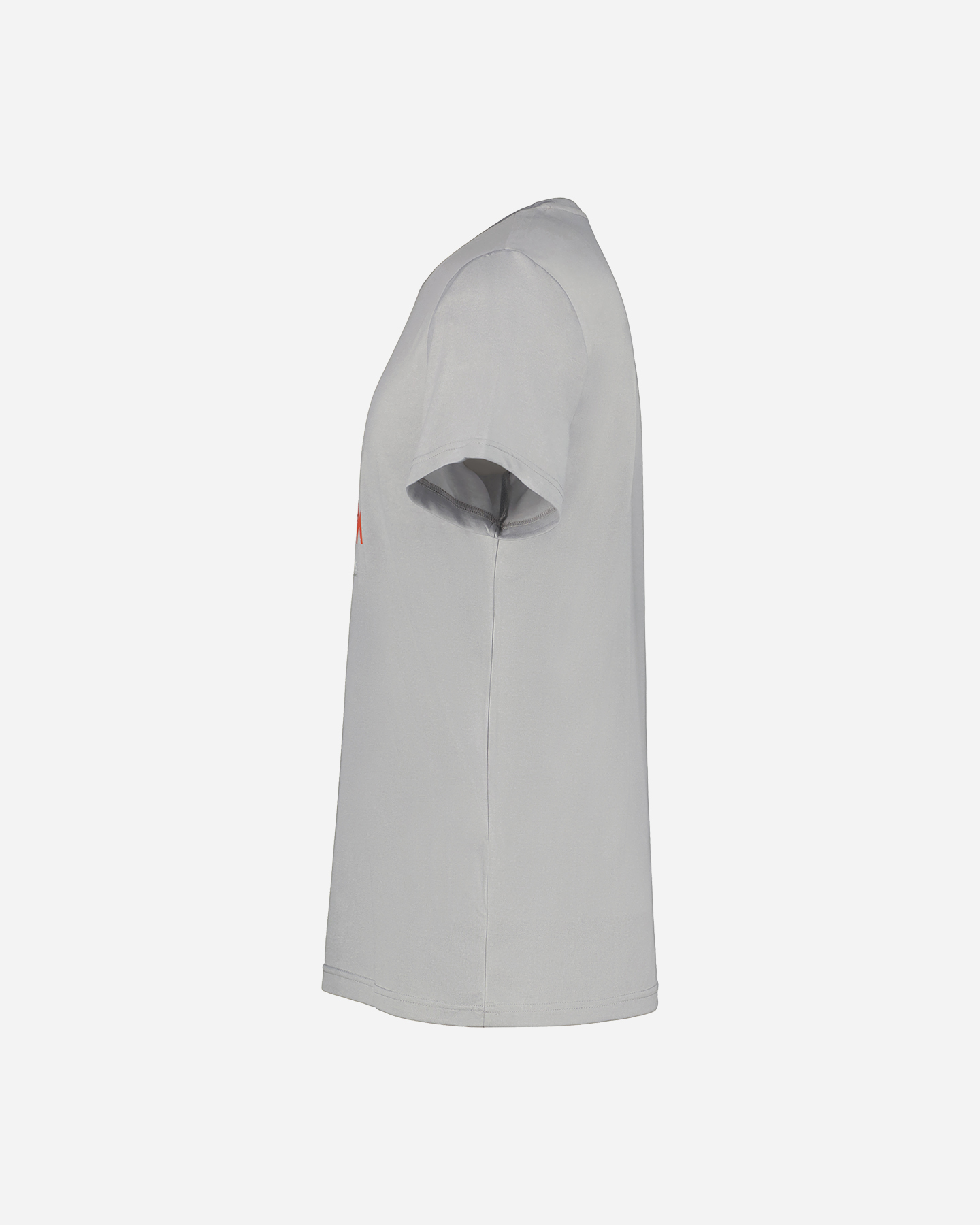 T-shirt ICEPEAK BEARDEN M - Grigio - 1 | Cisalfa Sport