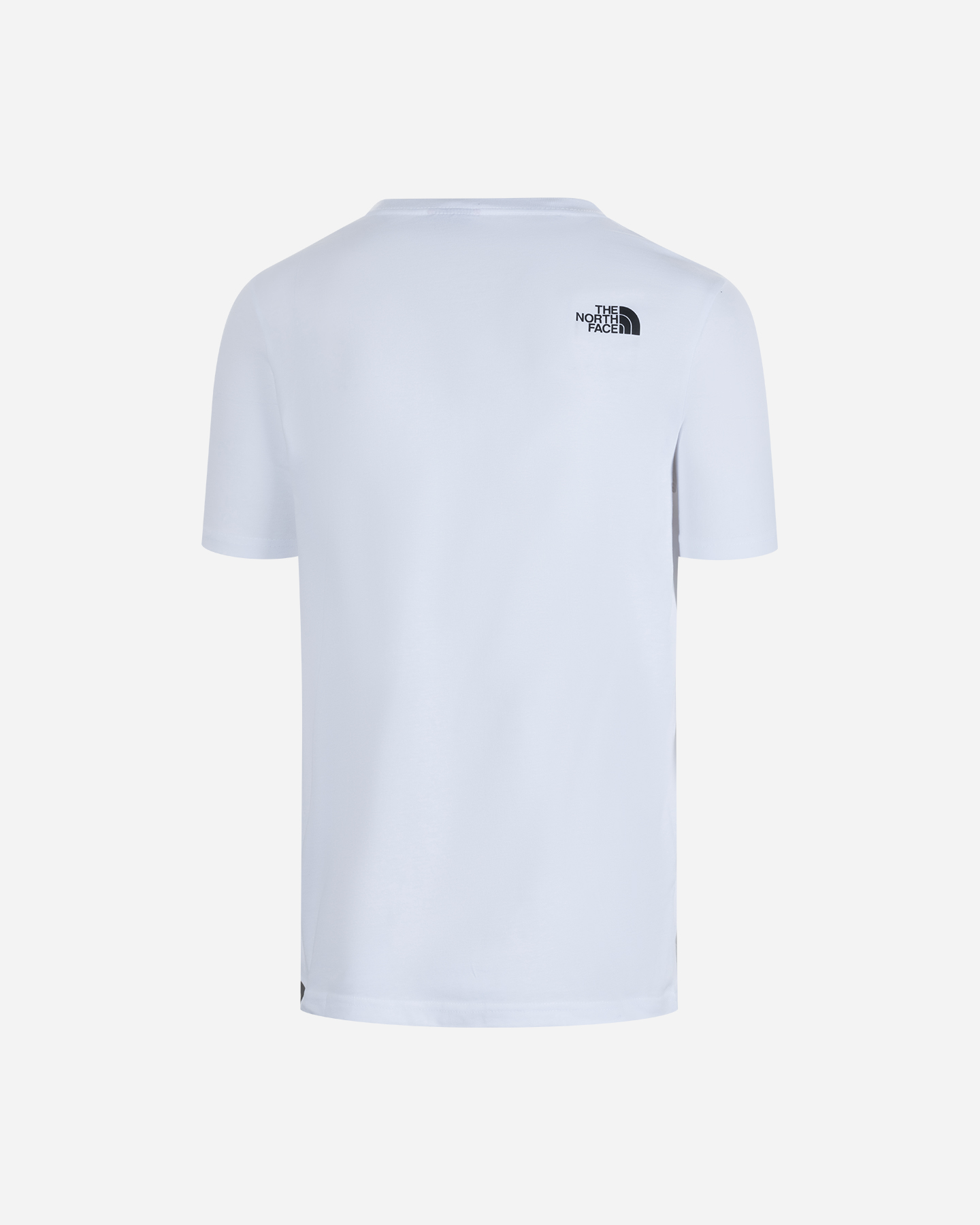 T-shirt THE NORTH FACE LOGO TACUNE M - 4 | Cisalfa Sport