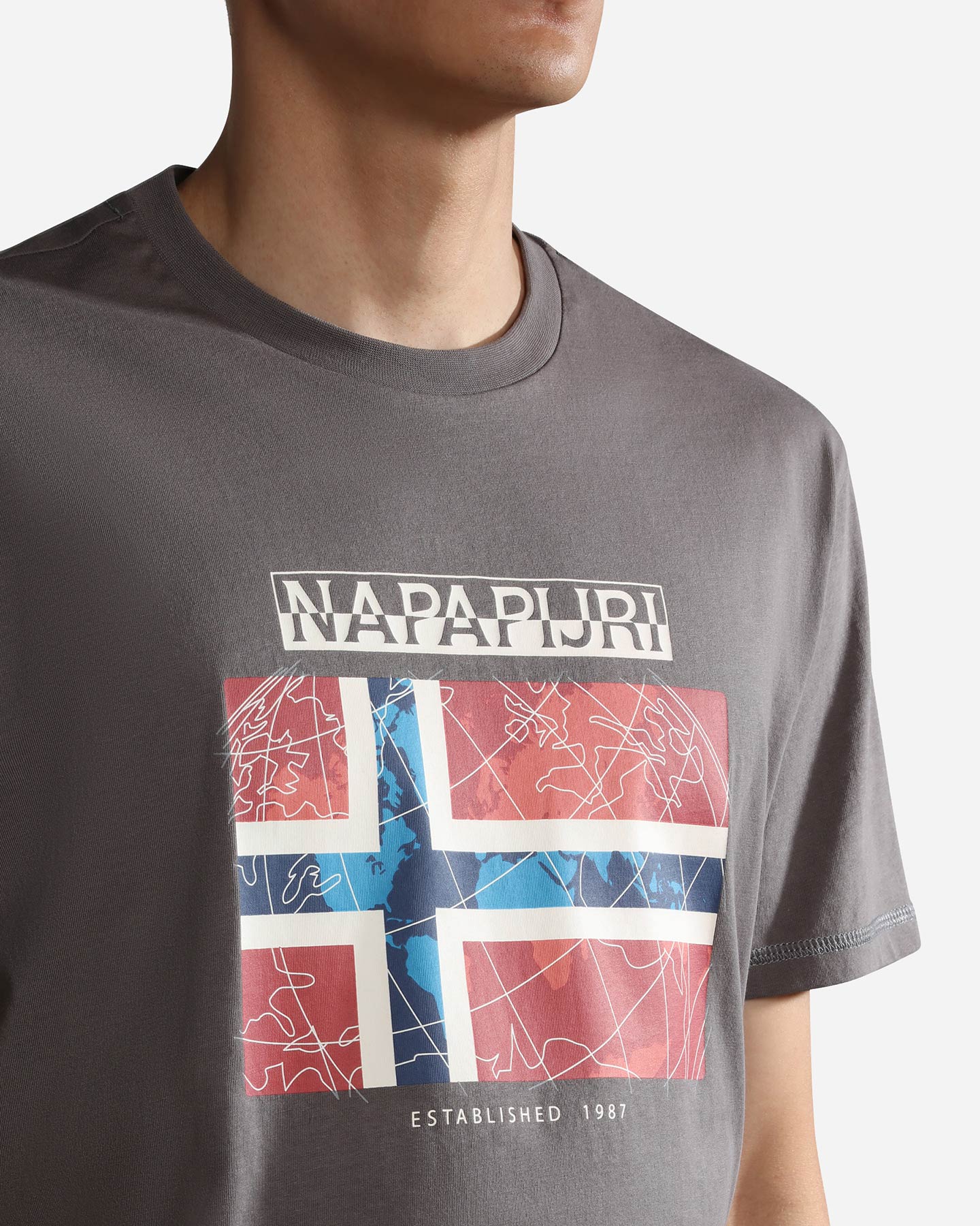 T-shirt NAPAPIJRI GUIRO M - Grigio - 3 | Cisalfa Sport
