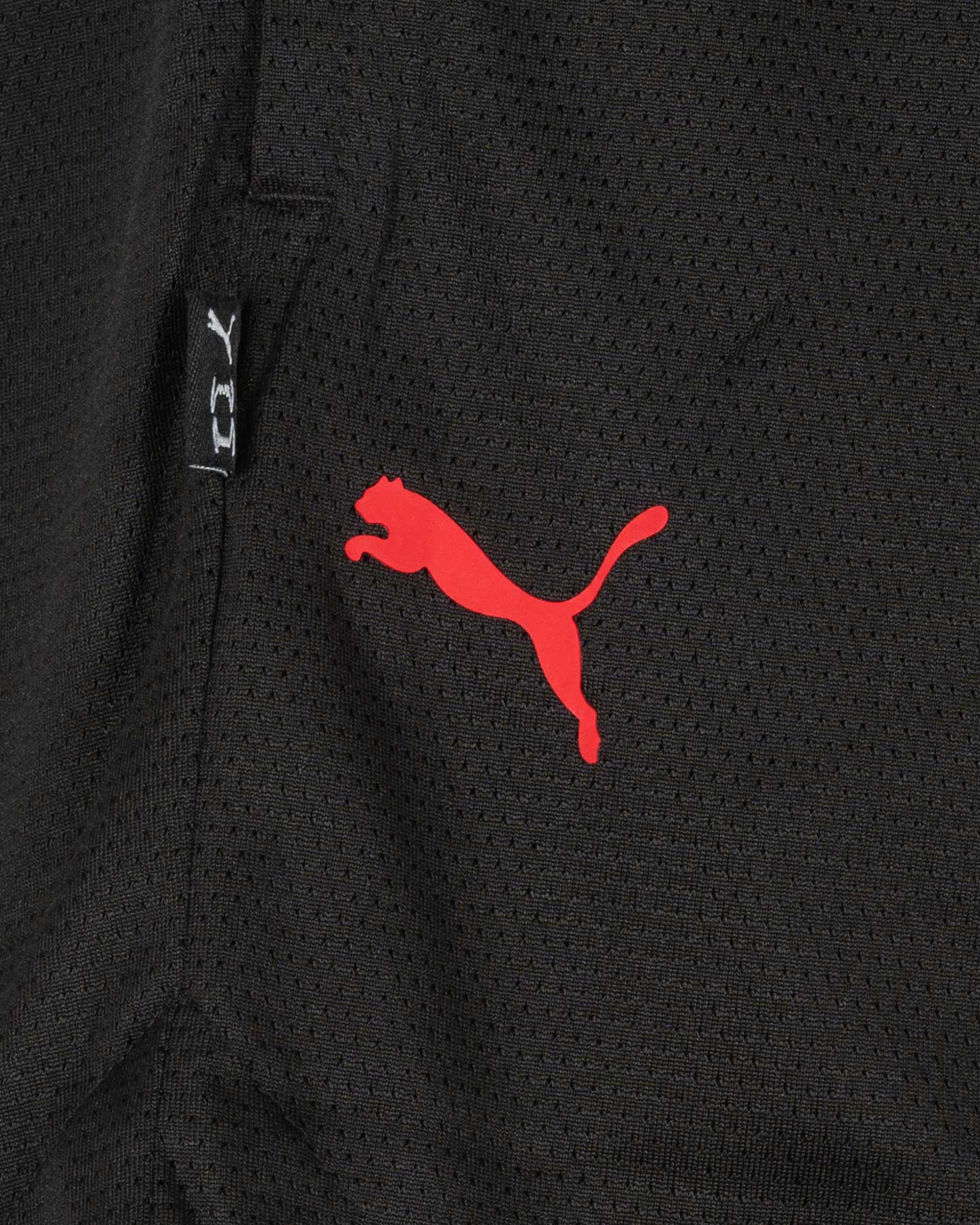 Pantaloncini PUMA BASKET W - Nero - 2 | Cisalfa Sport