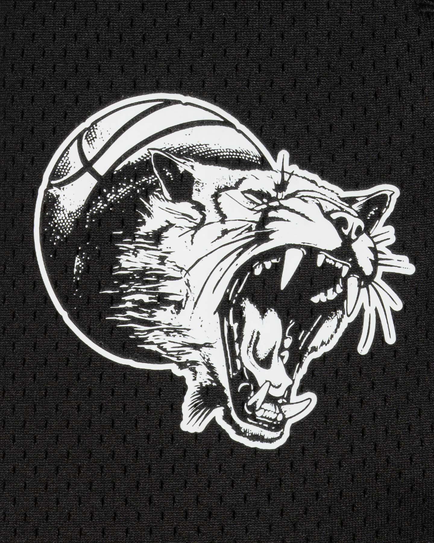 Pantaloncini PUMA HOOPDREAMZ M - Nero - 2 | Cisalfa Sport