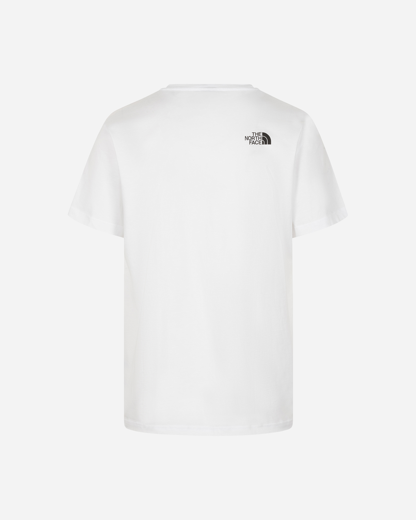 T-shirt THE NORTH FACE LOGO NSE BOX M - Bianco - 1 | Cisalfa Sport