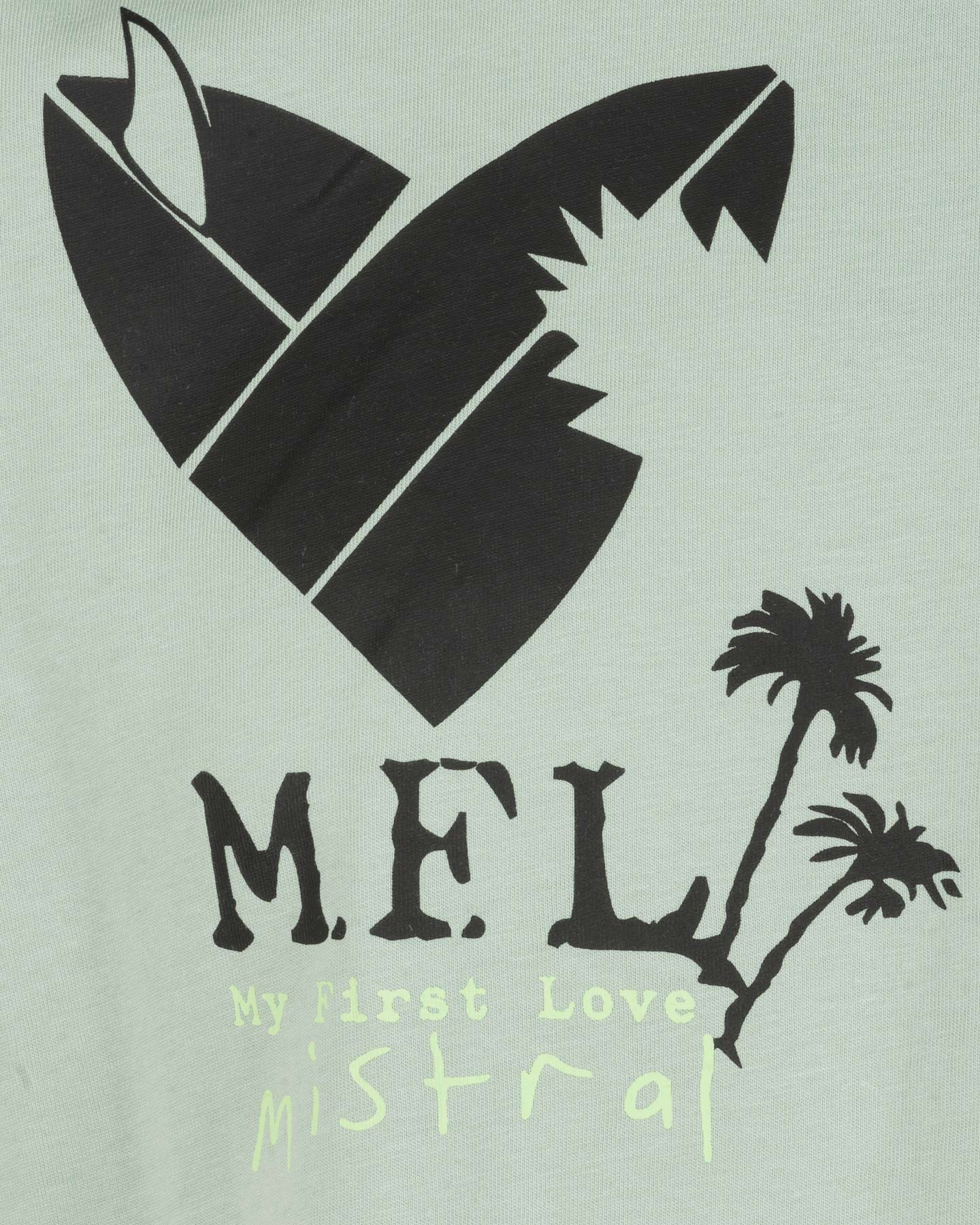 T-shirt MISTRAL ADVENTURE DIVISION M - Verde - 2 | Cisalfa Sport