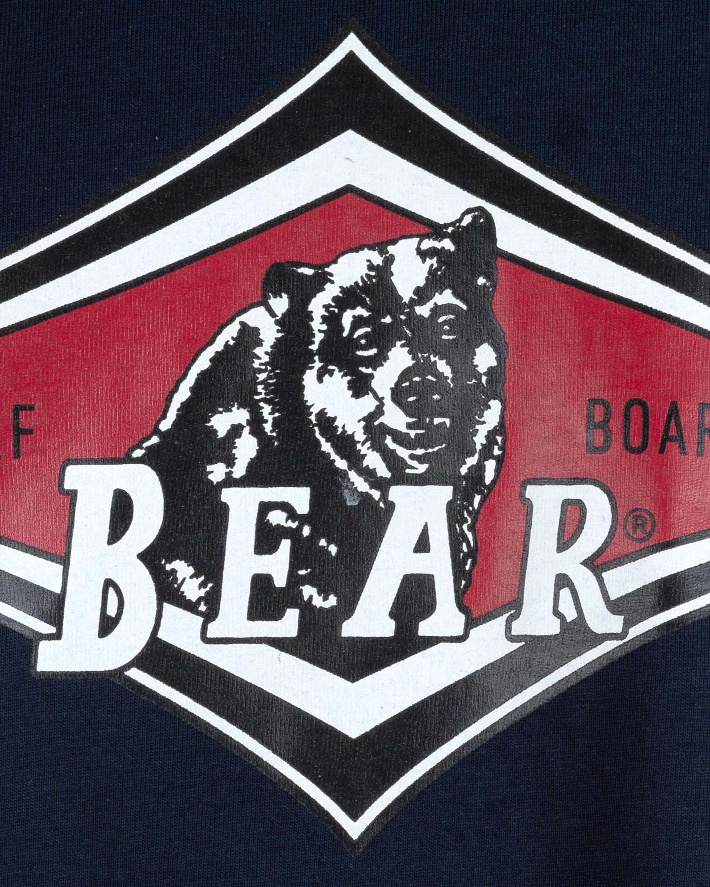 T-shirt BEAR BASIC M - 2 | Cisalfa Sport