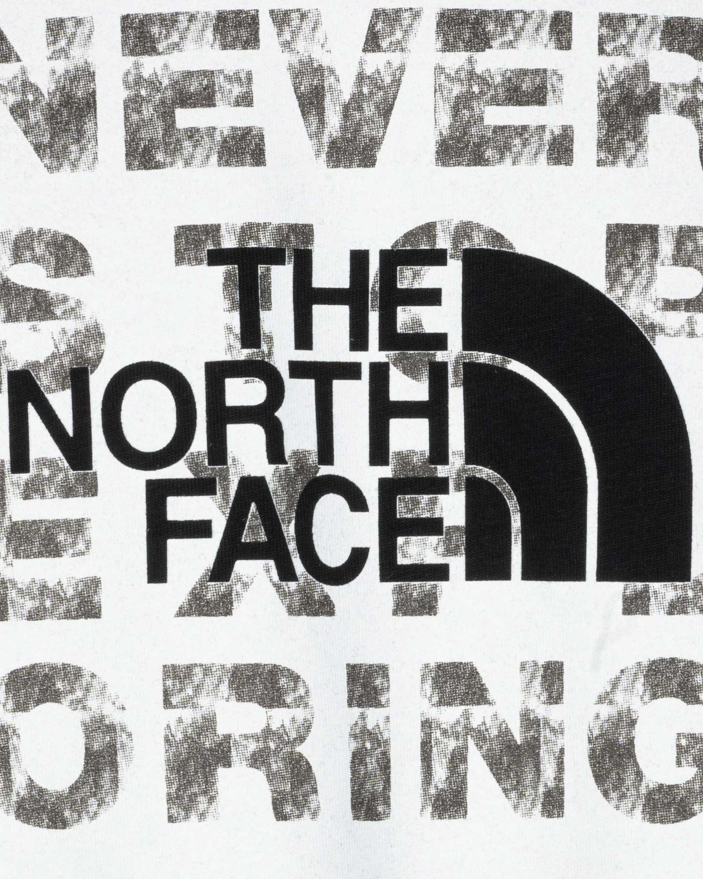 T-shirt THE NORTH FACE LOGO NSE BOX M - Nero - 2 | Cisalfa Sport