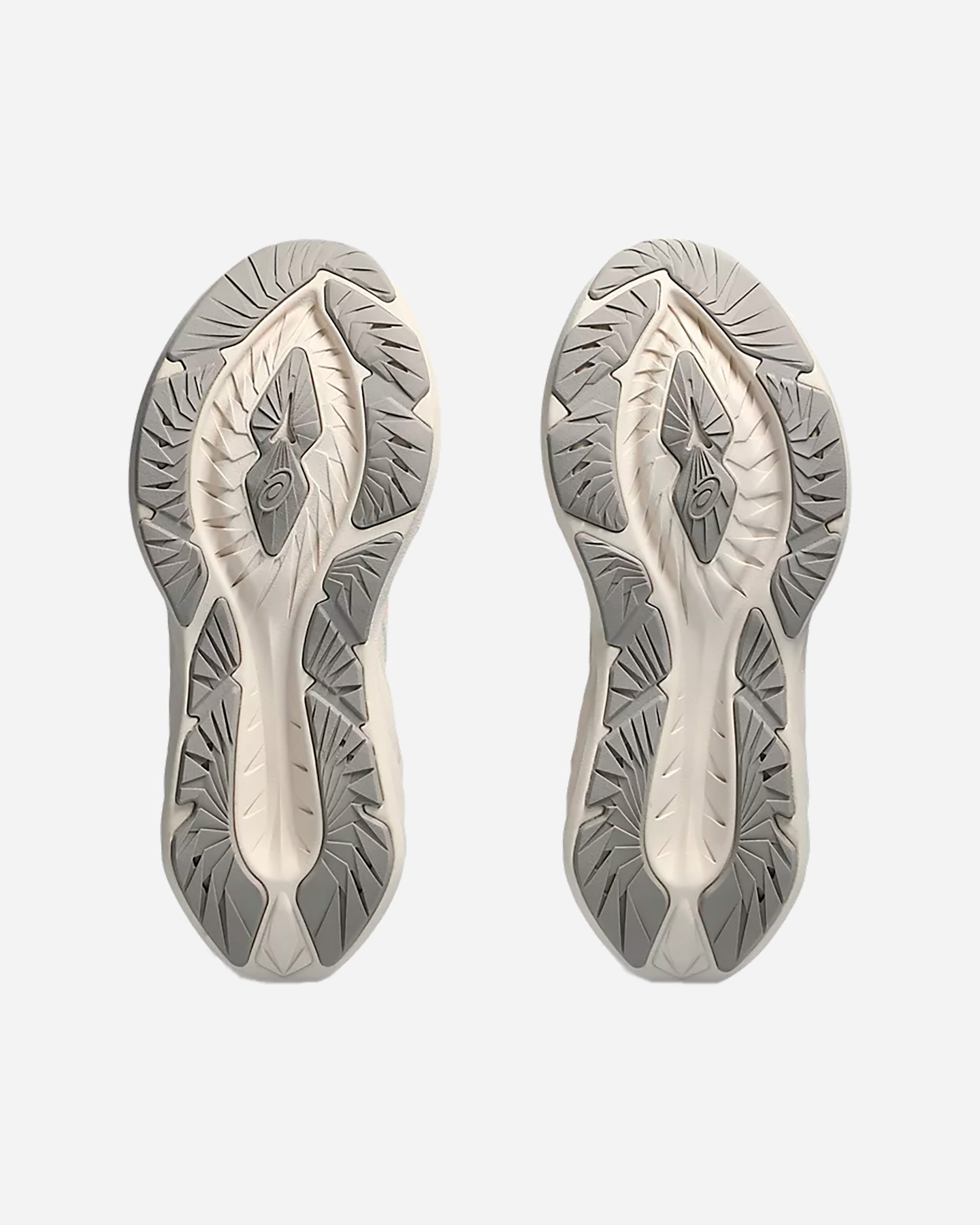 Scarpe running ASICS NOVABLAST 4 W - Grigio - 2 | Cisalfa Sport