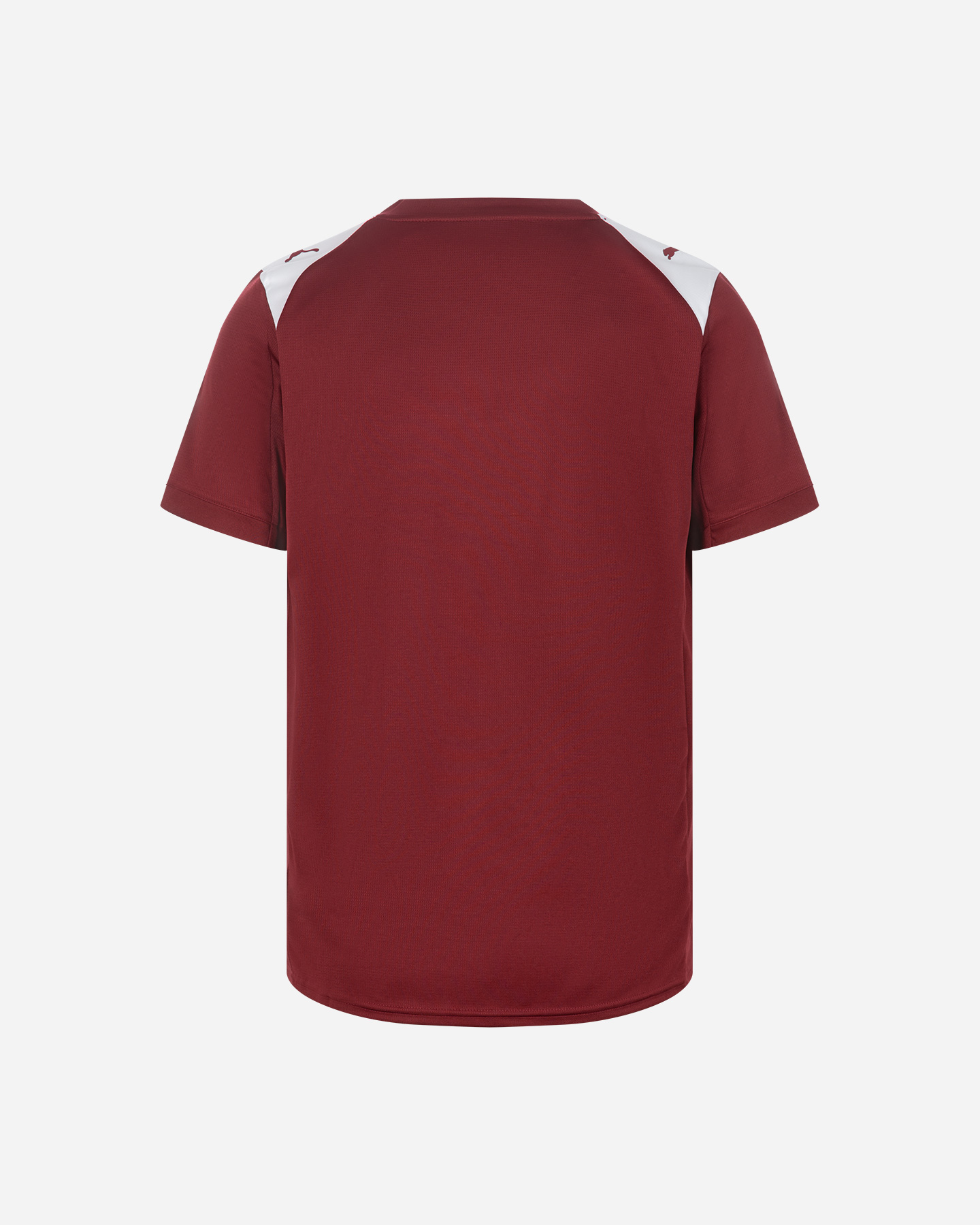 Maglia calcio ufficiale PUMA SALERNITANA HOME 25-26 M - Marrone - 1 | Cisalfa Sport