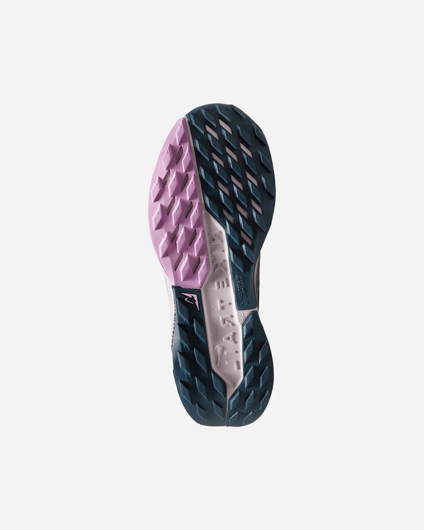 Scarpe trail NIKE PEGASUS TRAIL 5 GORE TEX W - Blu Navy - 1 | Cisalfa Sport