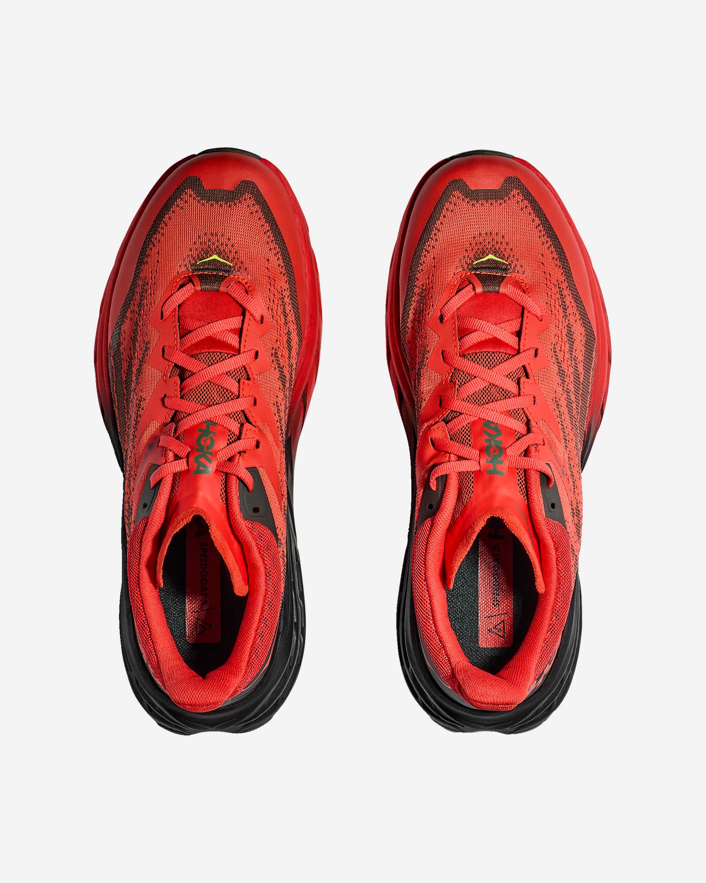 Scarpe trail HOKA SPEEDGOAT 5 GTX M - 9 | Cisalfa Sport