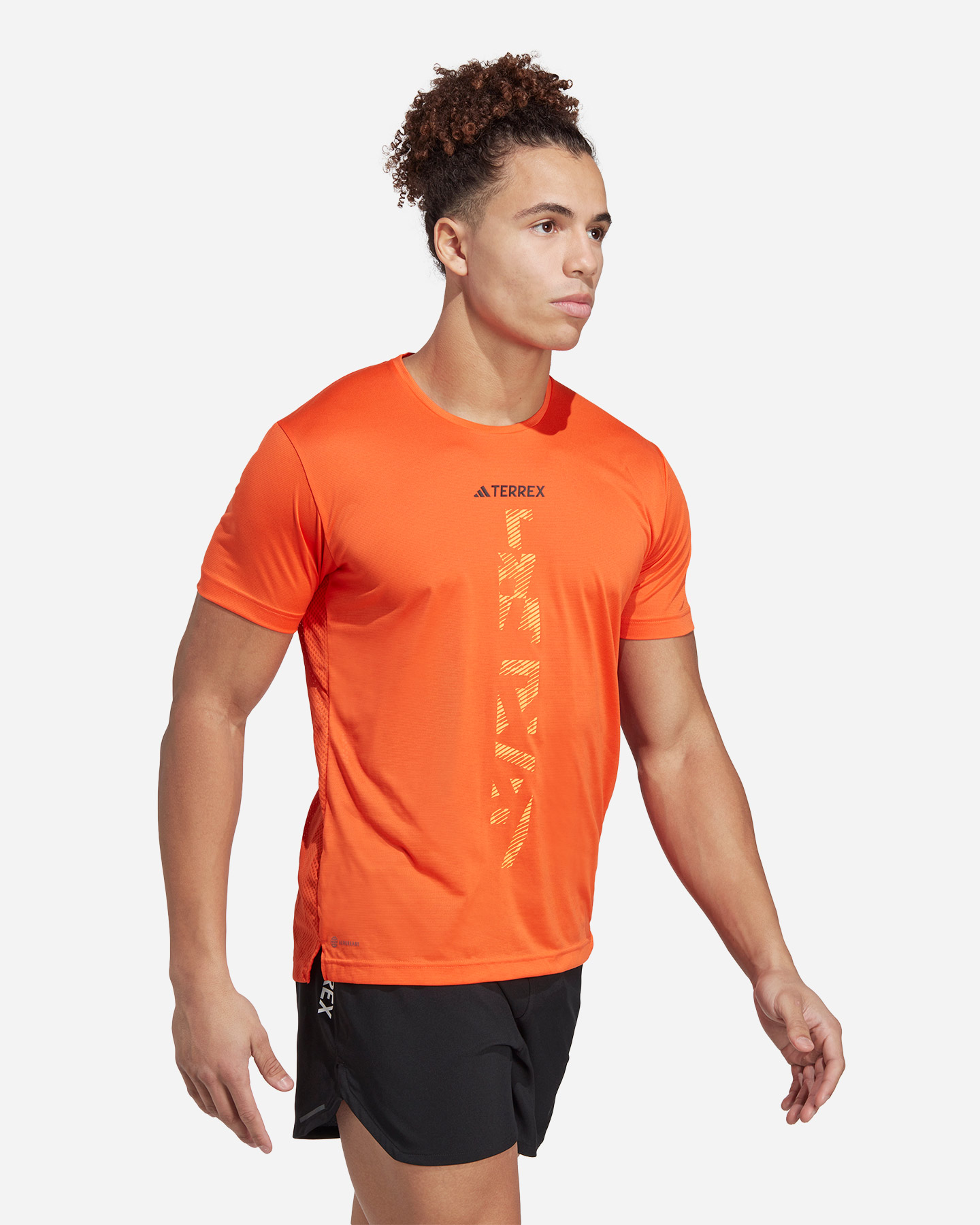 T-shirt running ADIDAS AGR TERREX M - 2 | Cisalfa Sport