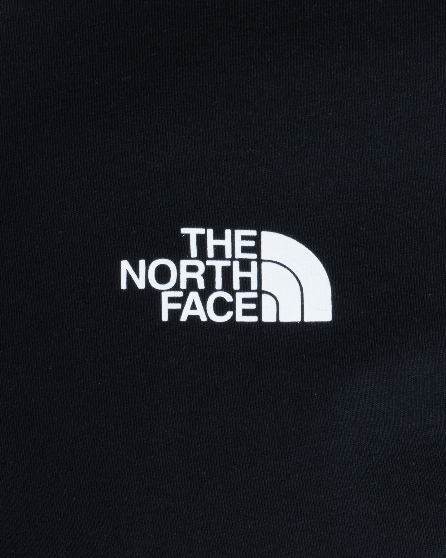 T-shirt THE NORTH FACE NEW ODLES M - 5 | Cisalfa Sport