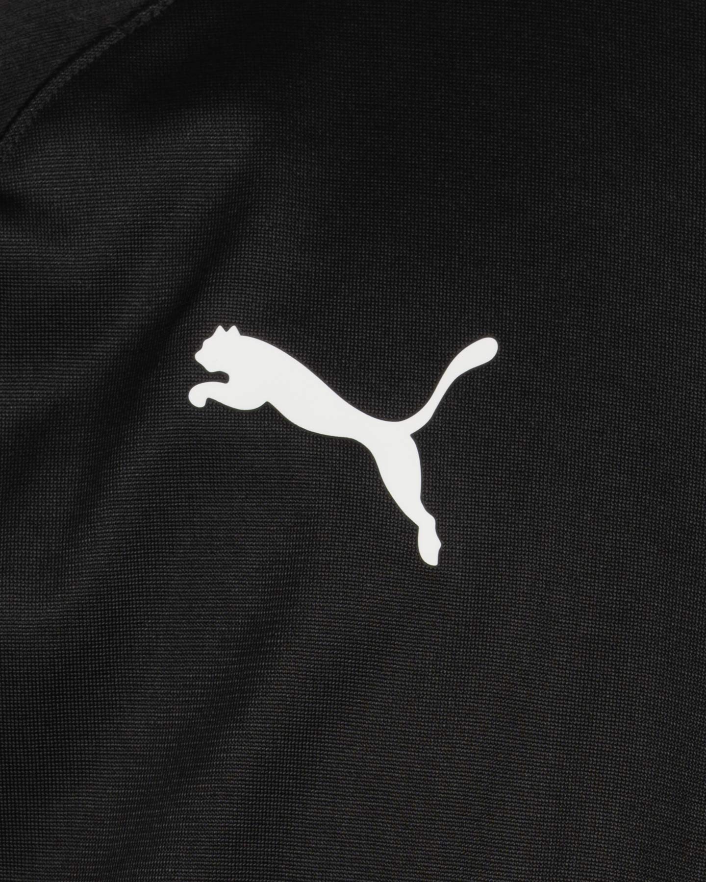 Maglia calcio PUMA TEAMLIGA JR - Nero - 2 | Cisalfa Sport