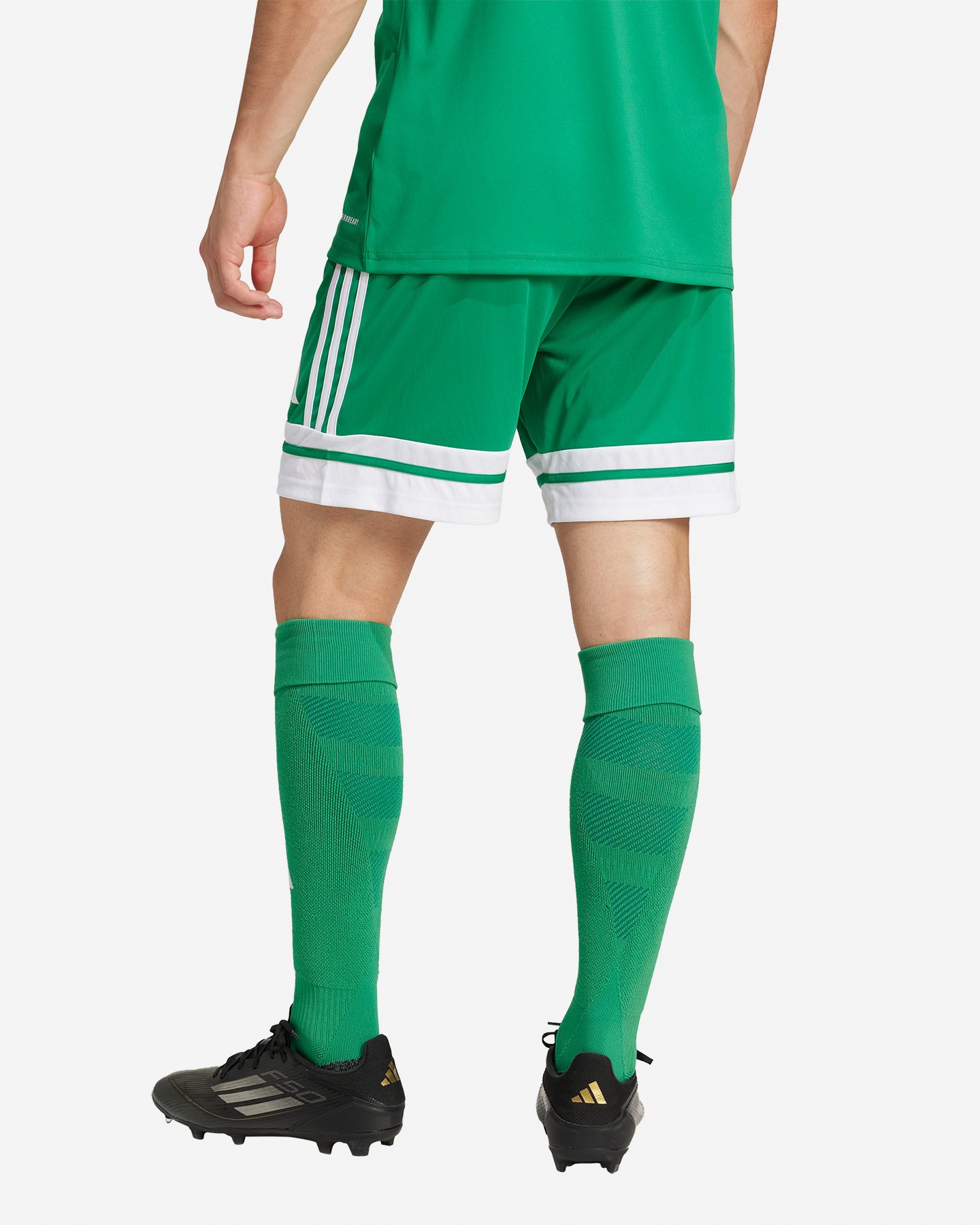 Pantaloncini calcio ADIDAS SQUADRA 25 M - Verde - 2 | Cisalfa Sport