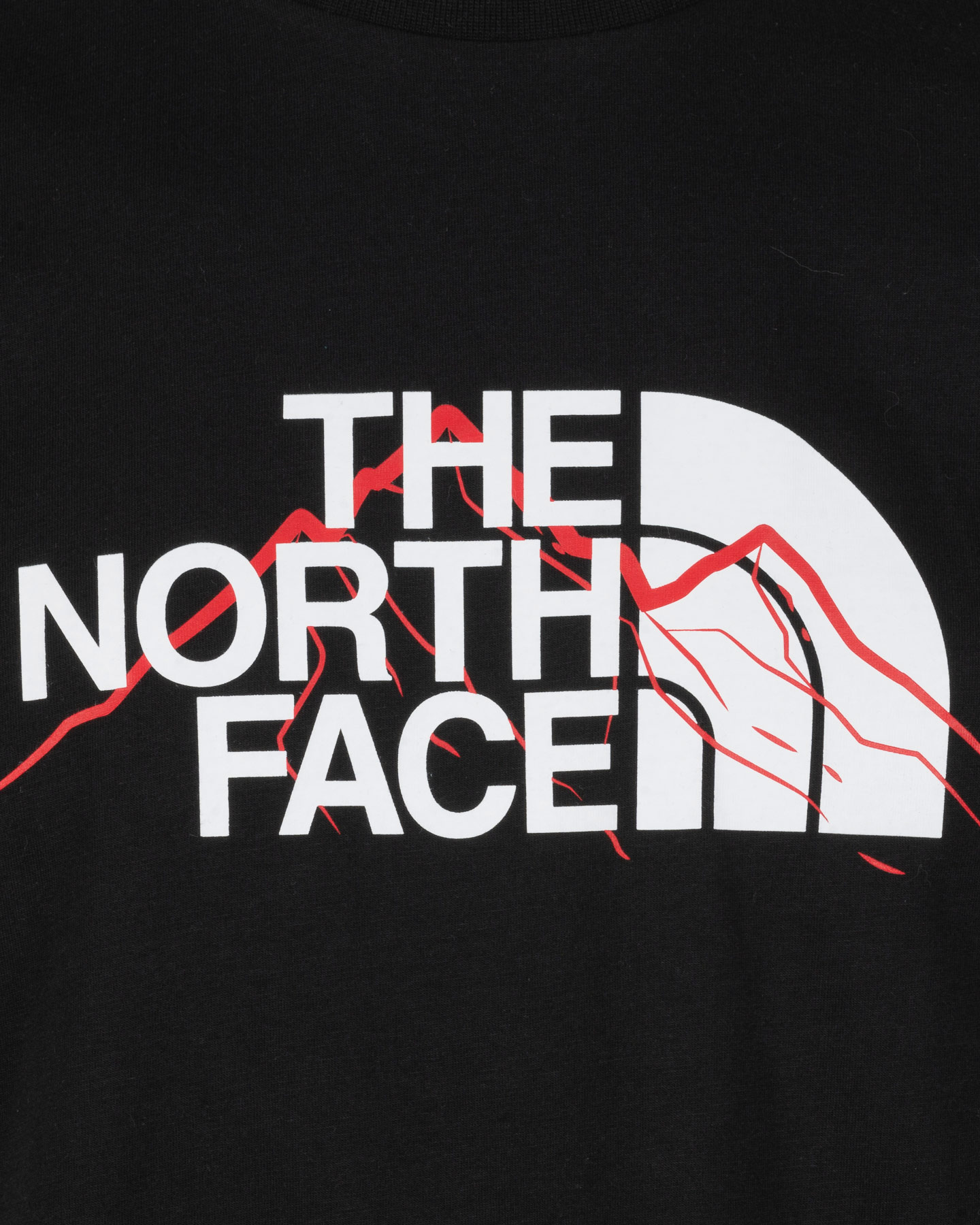 T-shirt THE NORTH FACE MOUNTAIN LINE M - Nero - 2 | Cisalfa Sport