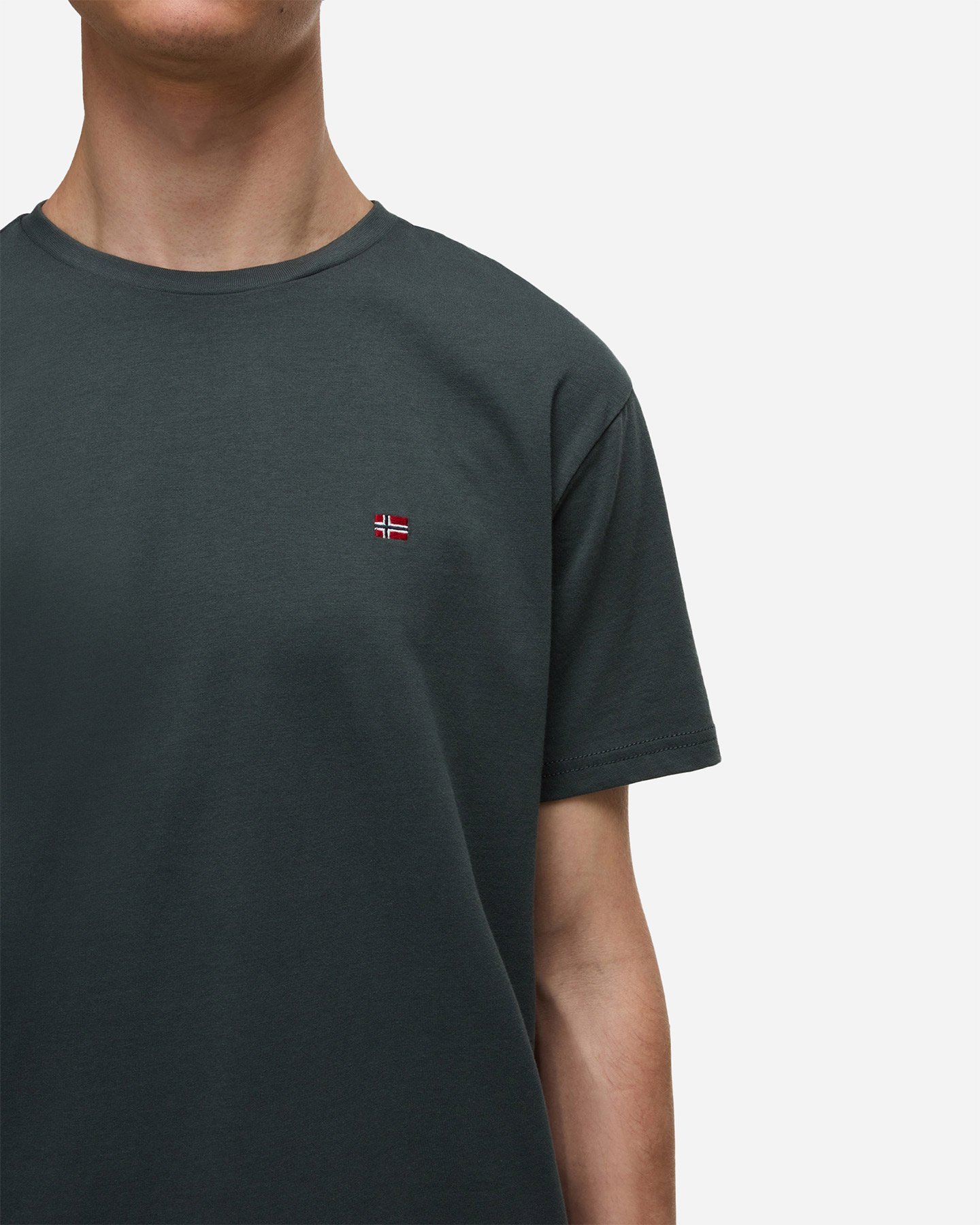 T-shirt NAPAPIJRI SALIS M - Verde - 4 | Cisalfa Sport