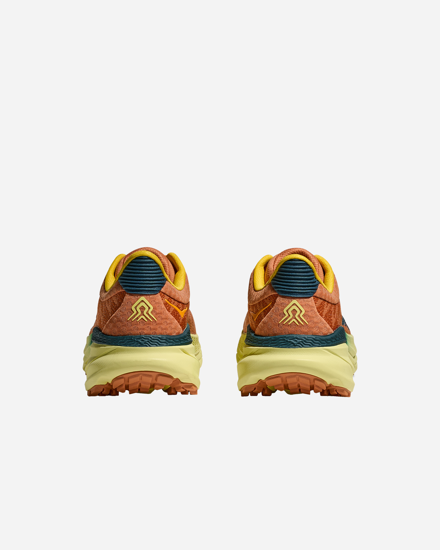 Scarpe trail HOKA CHALLENGER 7 M - Marrone - 5 | Cisalfa Sport