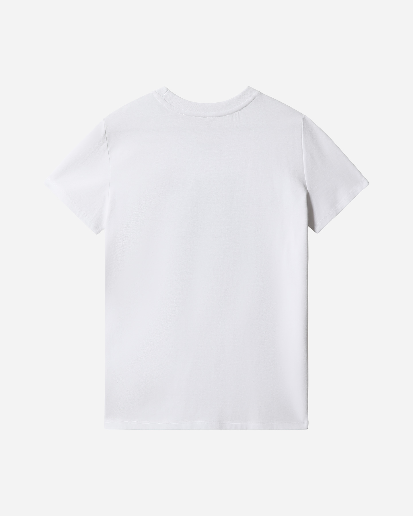 T-shirt THE NORTH FACE LOGO PRIDE W - 1 | Cisalfa Sport