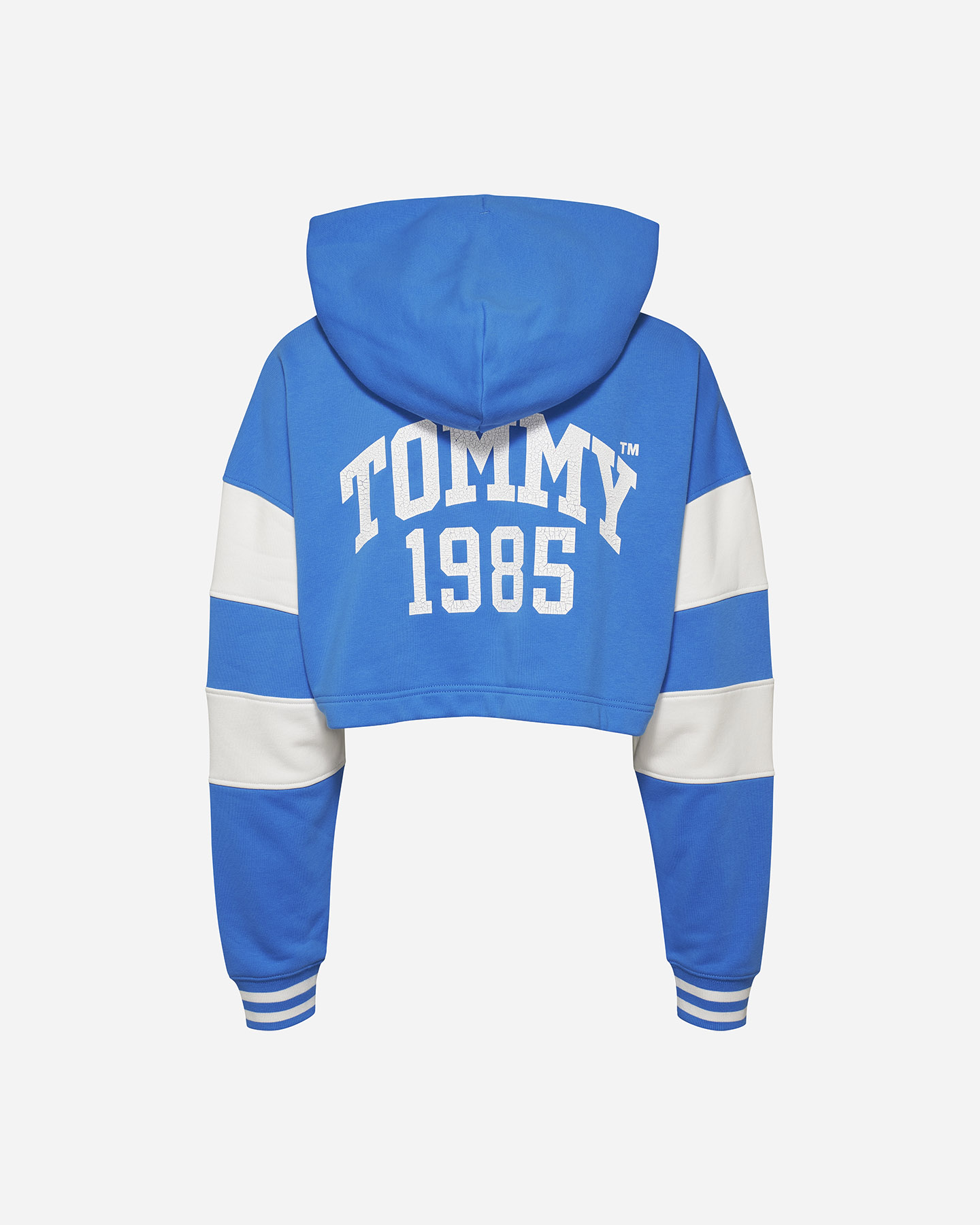 Felpa TOMMY HILFIGER LOGO COLLEGE W - Azzurro - 1 | Cisalfa Sport