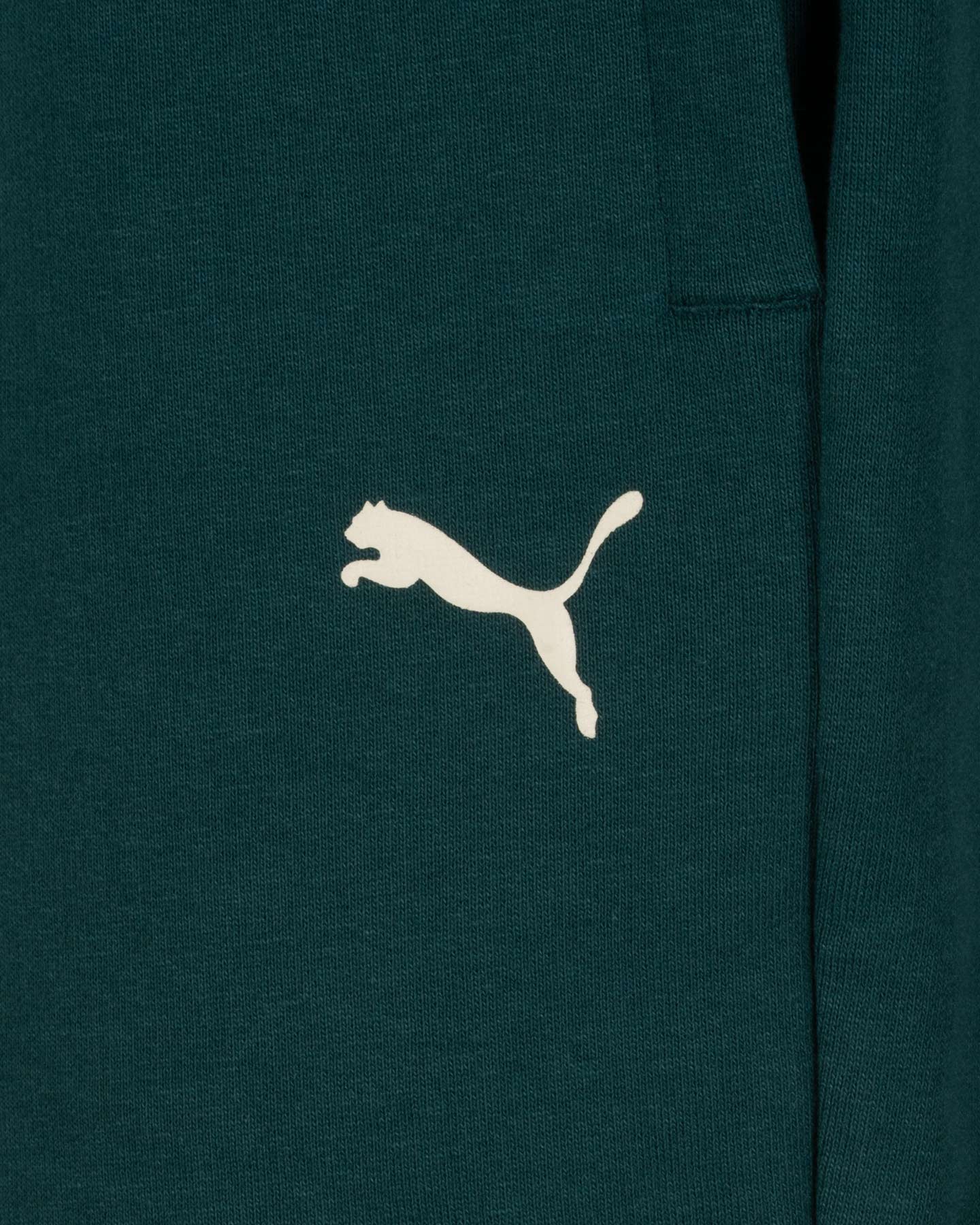 Pantaloncini PUMA VARSITY M - Verde - 2 | Cisalfa Sport