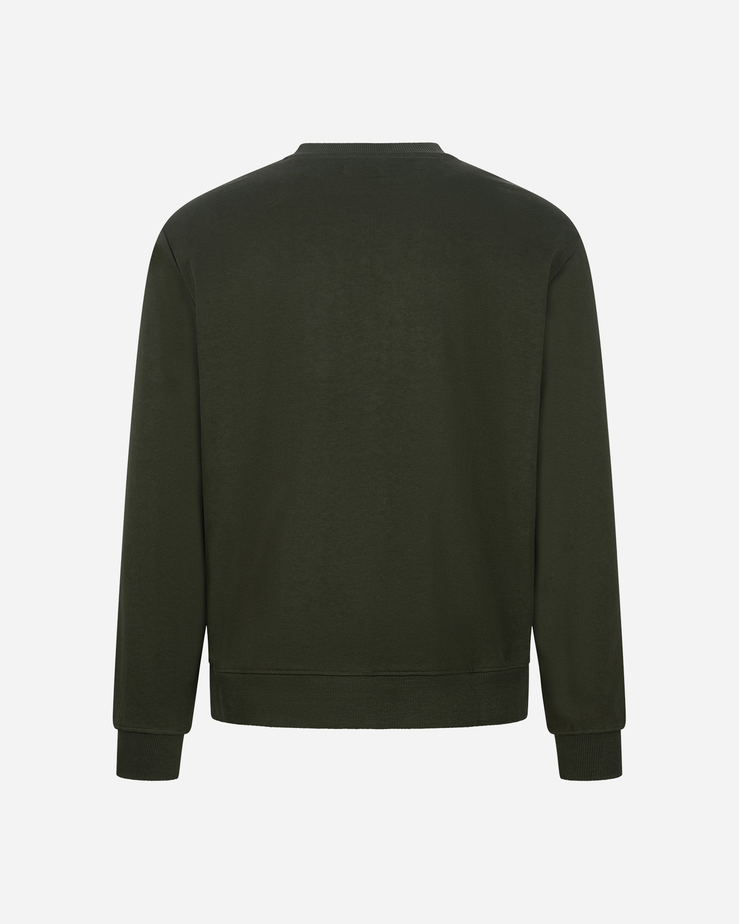 Felpa MISTRAL ADVENTURE DIVISION M - Verde - 1 | Cisalfa Sport