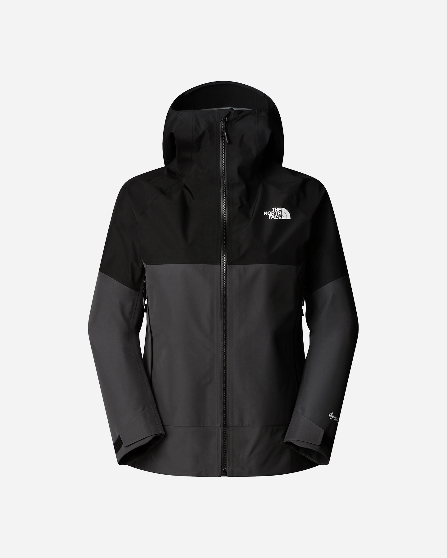 Giacca outdoor THE NORTH FACE JAZZI GTX W - Grigio - 0 | Cisalfa Sport